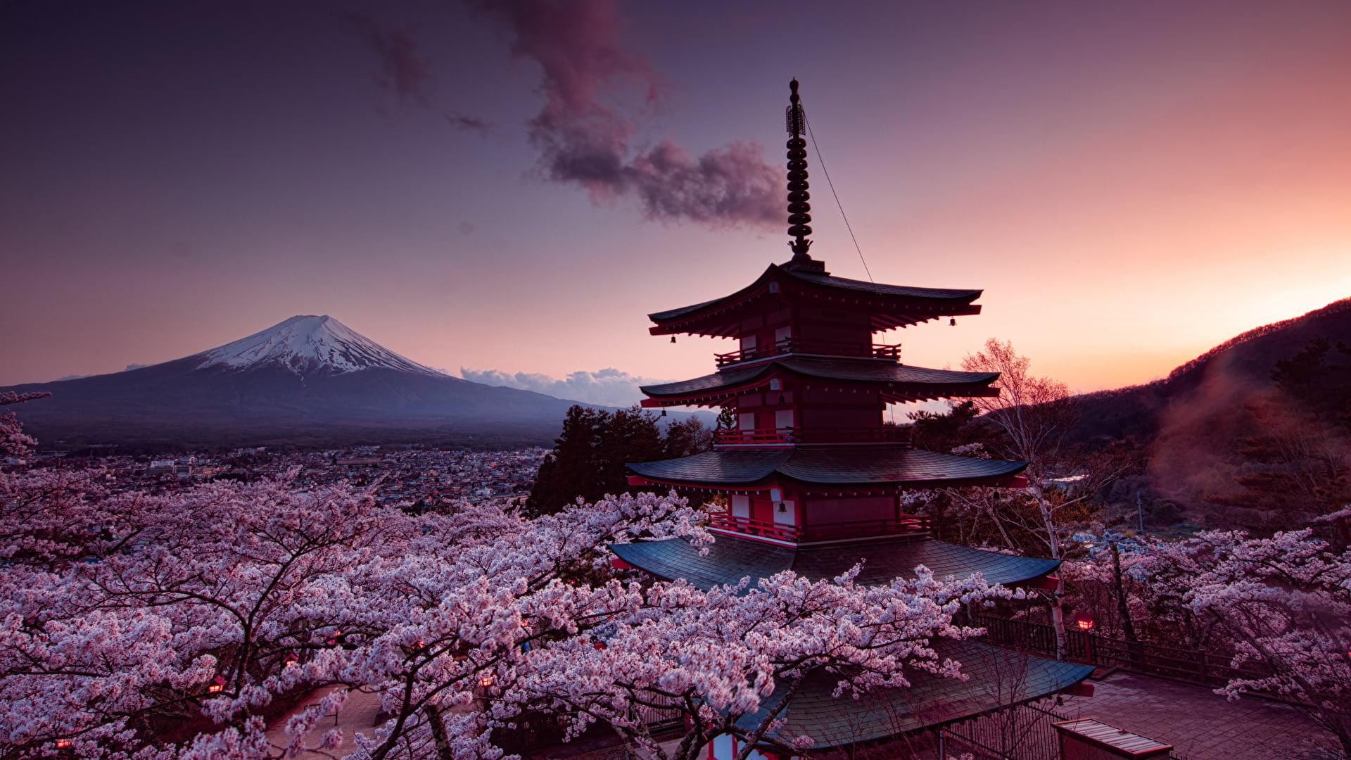 Mount Fuji, Japan, brown and white pagoda, cherry blossom, pink