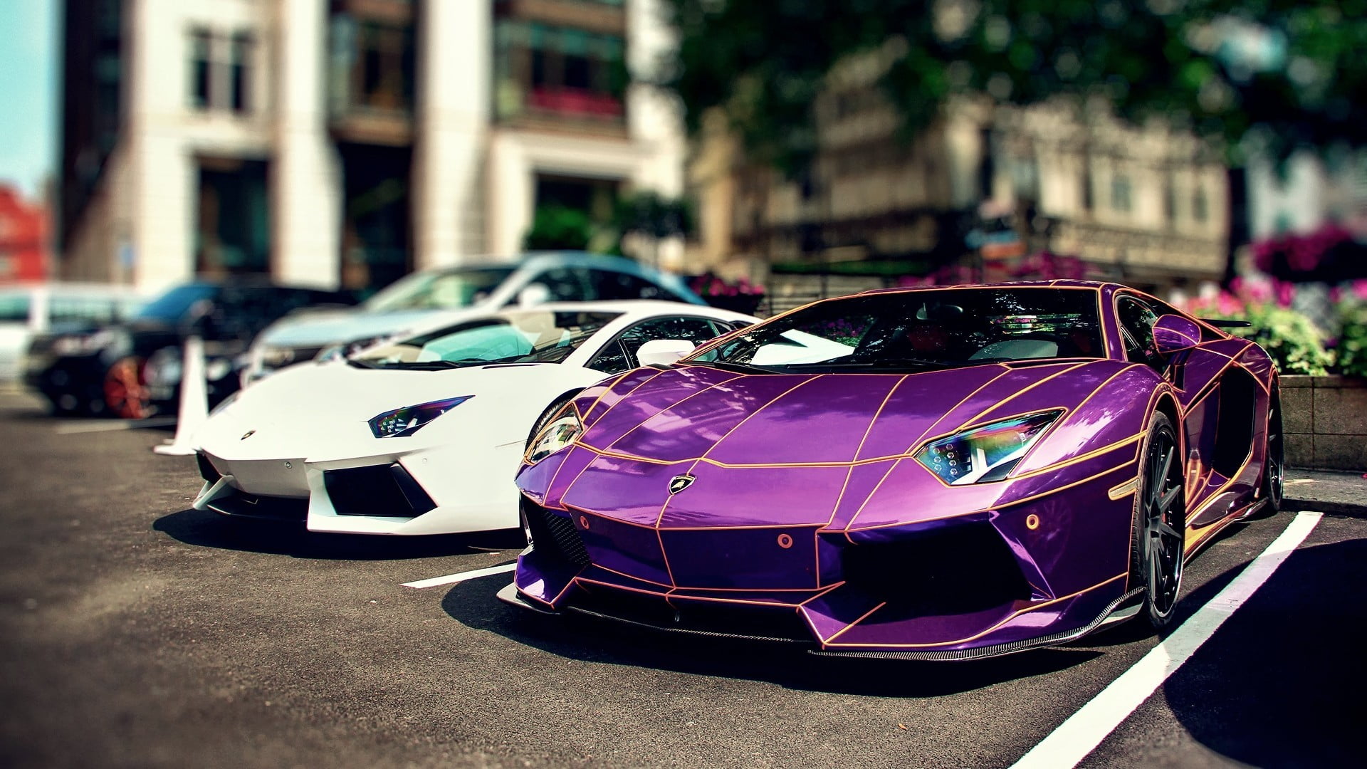 purple and white coupes, car, Lamborghini, Lamborghini Aventador