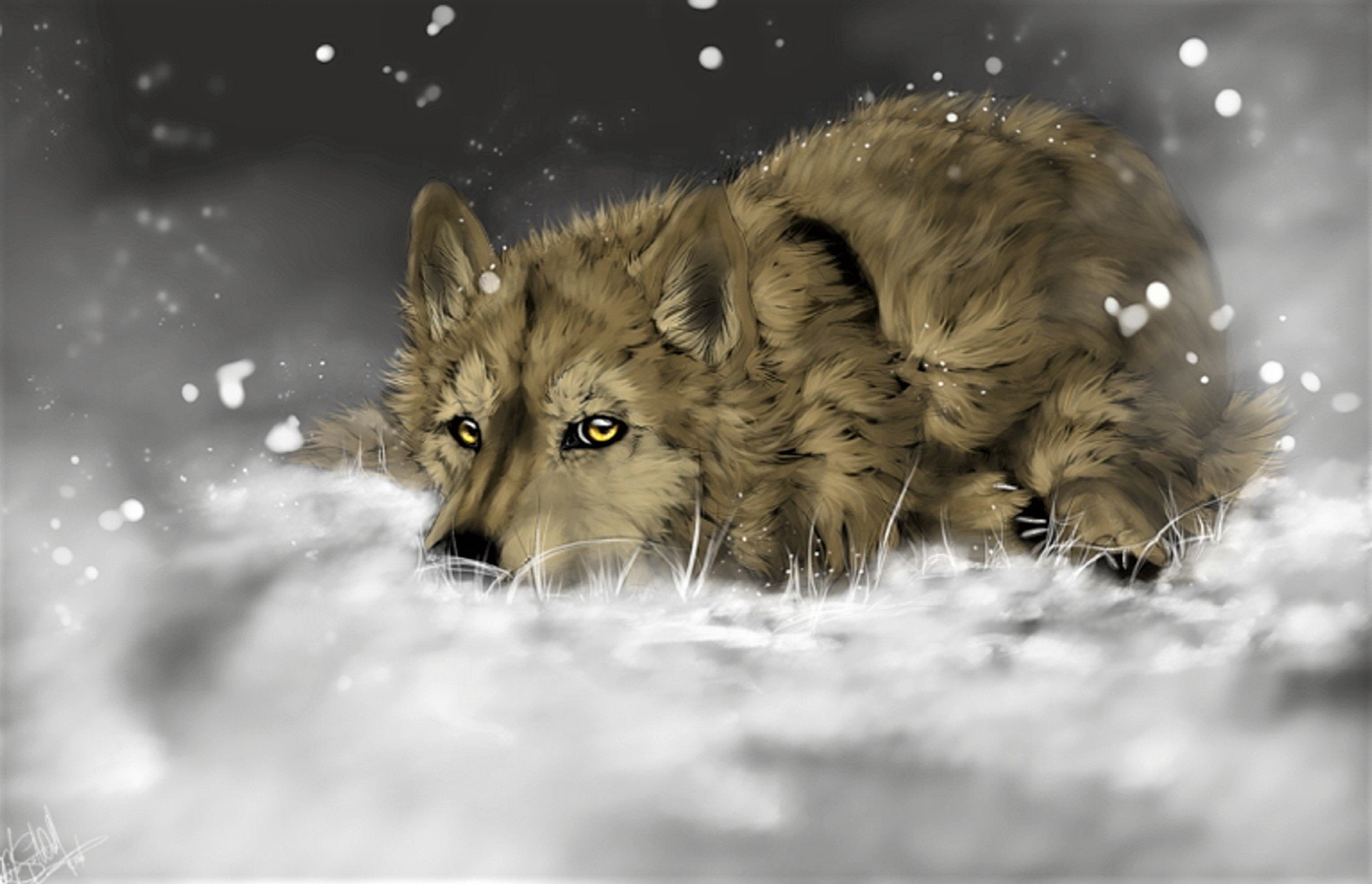 Animal, Artistic, Painting, Snow, Wolf