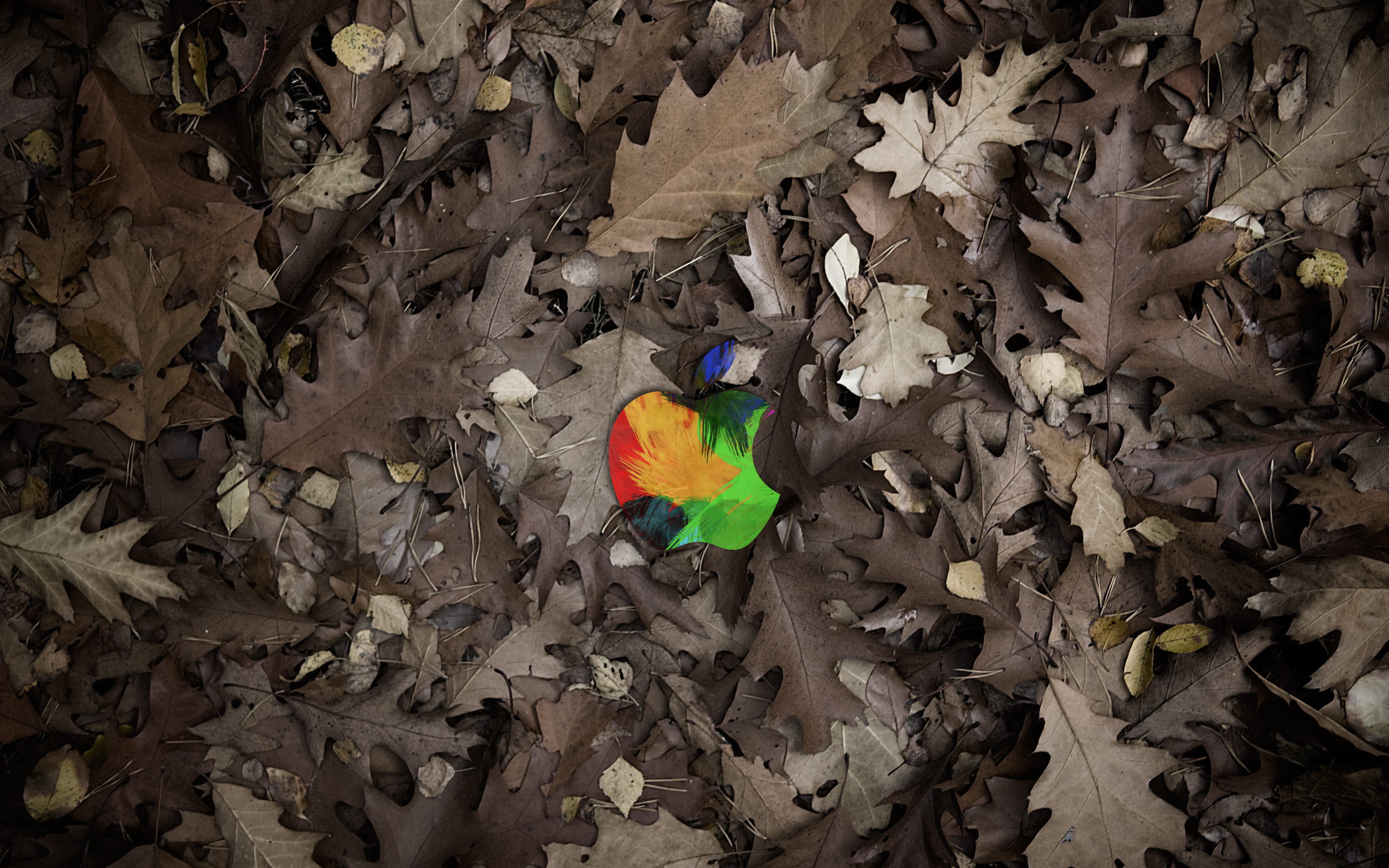 leaves, Apple, Mac