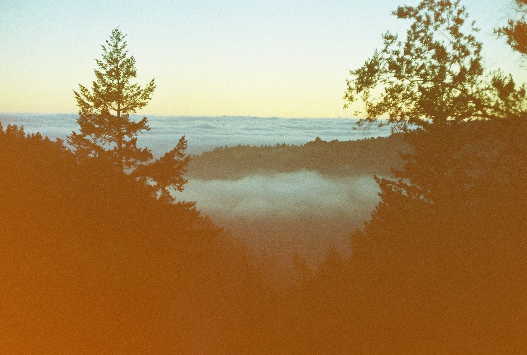 diffused