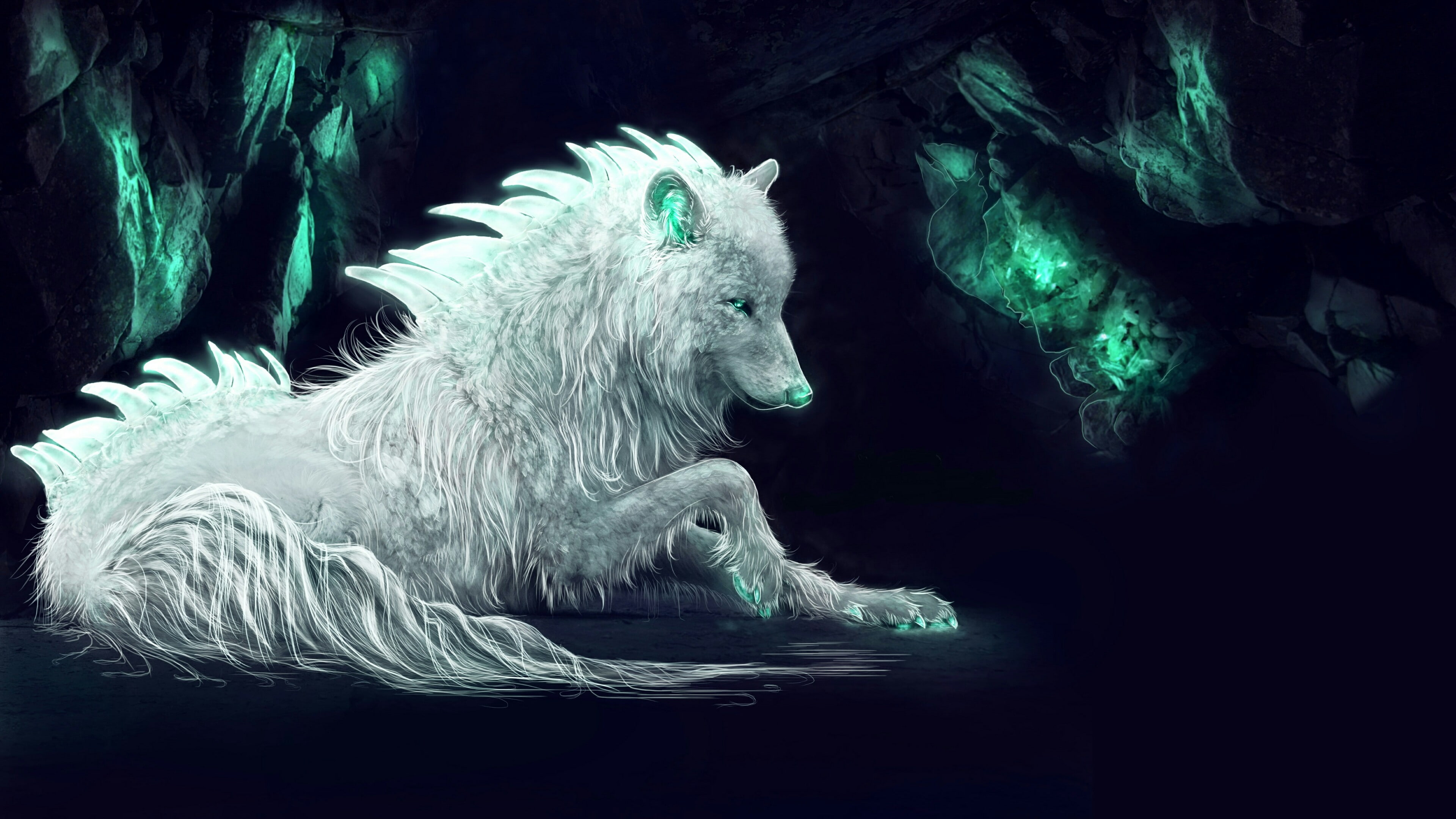 darkness, wolf, white wolf, fantasy art, imagination, mythical creature