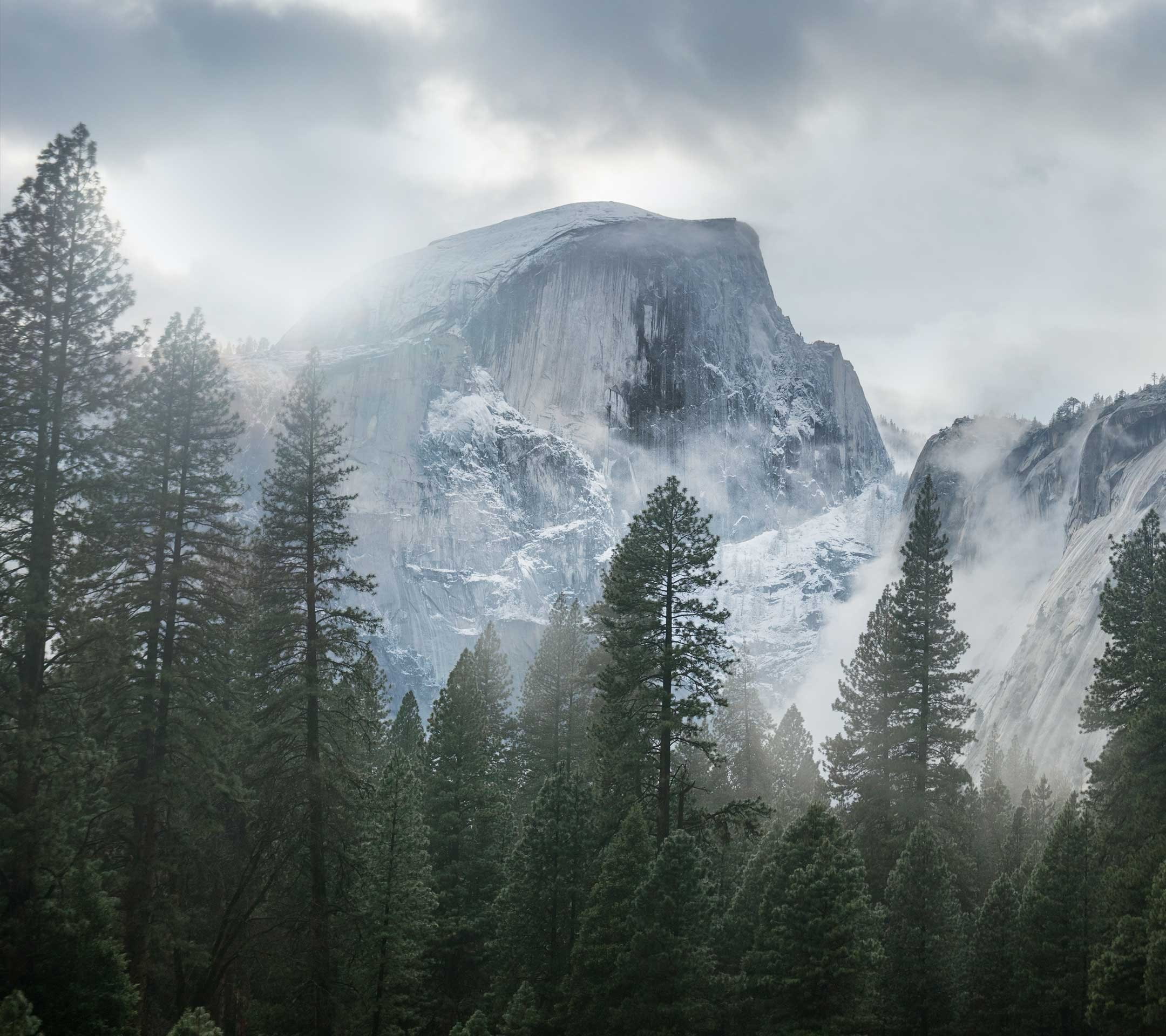 clouds, forest, landscape, mist, mountain, nature, Overcast