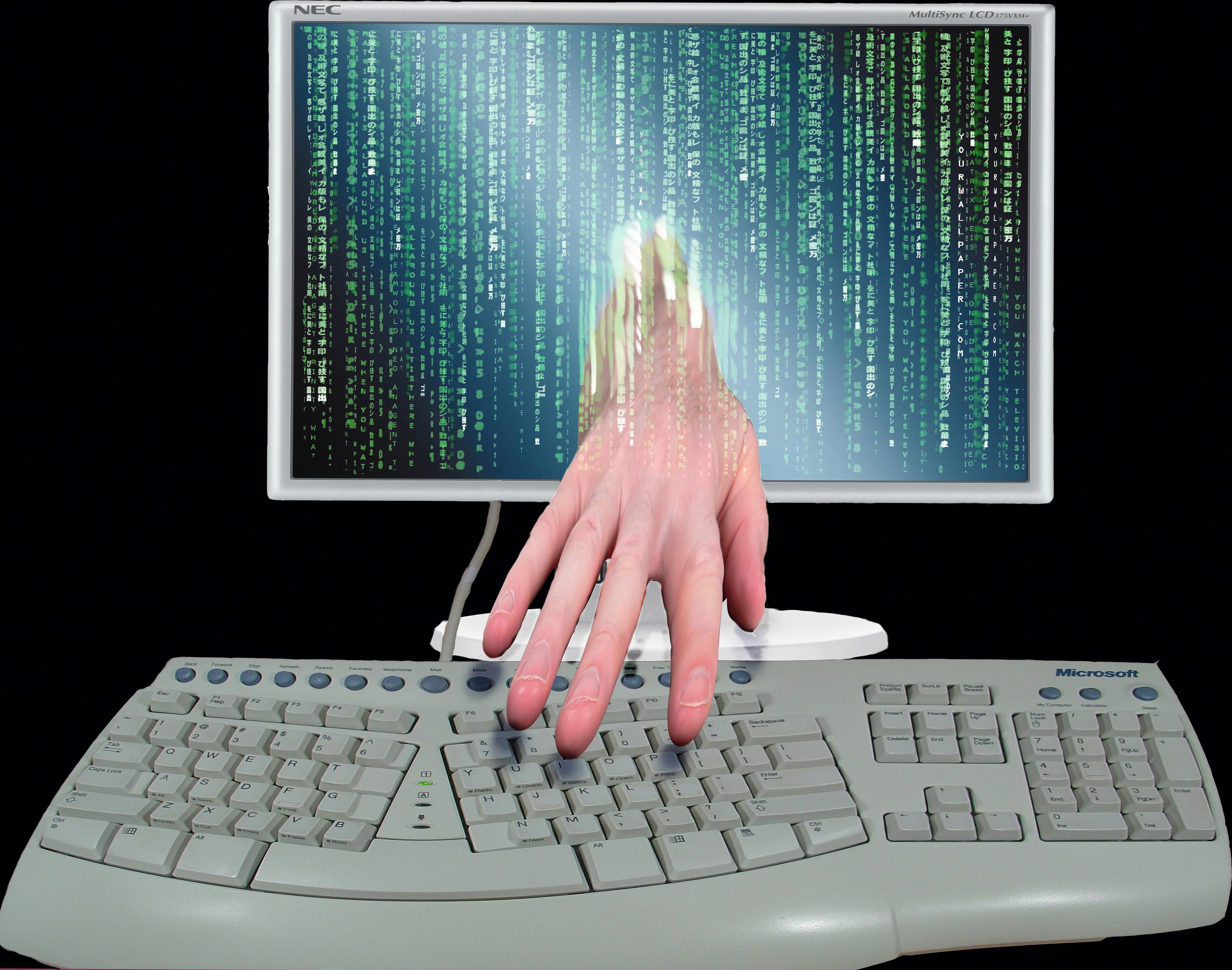 computer, danger, hacker, hacking, internet, sadic, virus