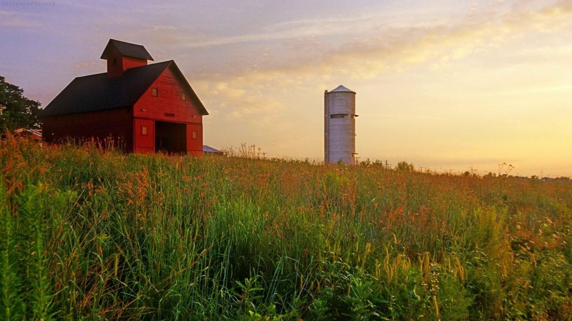 Farm 2, red wooden house, silo, field, barns, nature and landscapes
