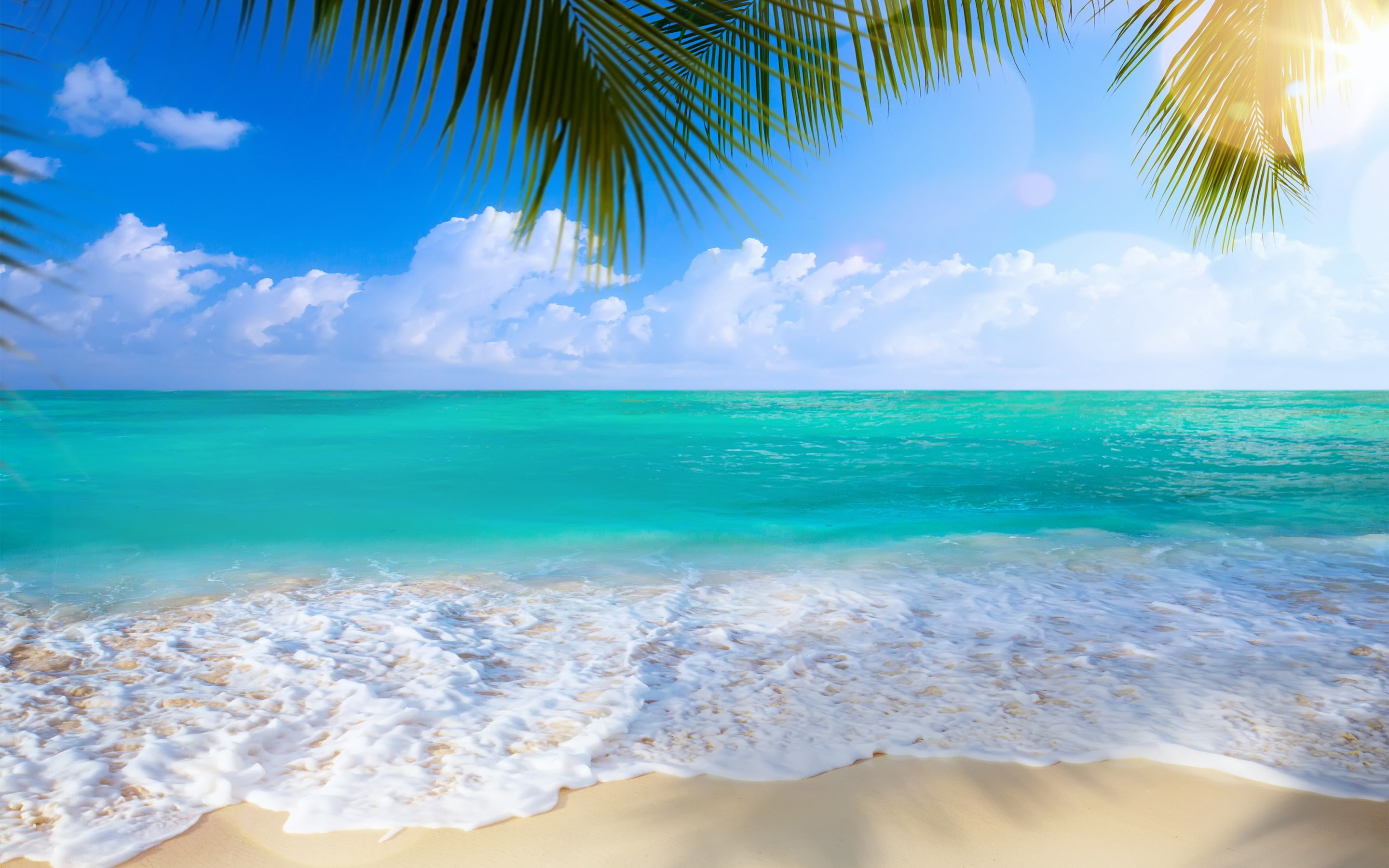 Beach, sea, shore, white salts, summer, paradise, tropical, sand