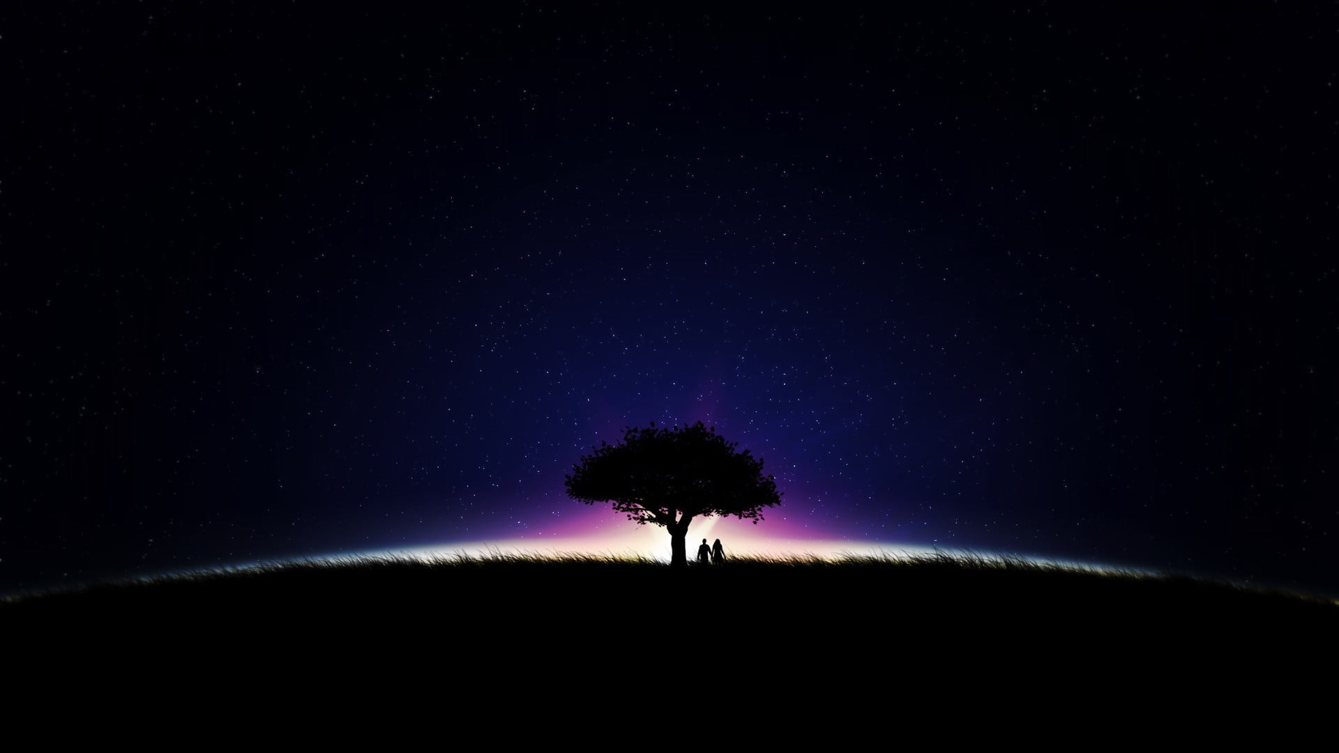 silhouette of tree, artwork, anime, sky, stars, trees, grass