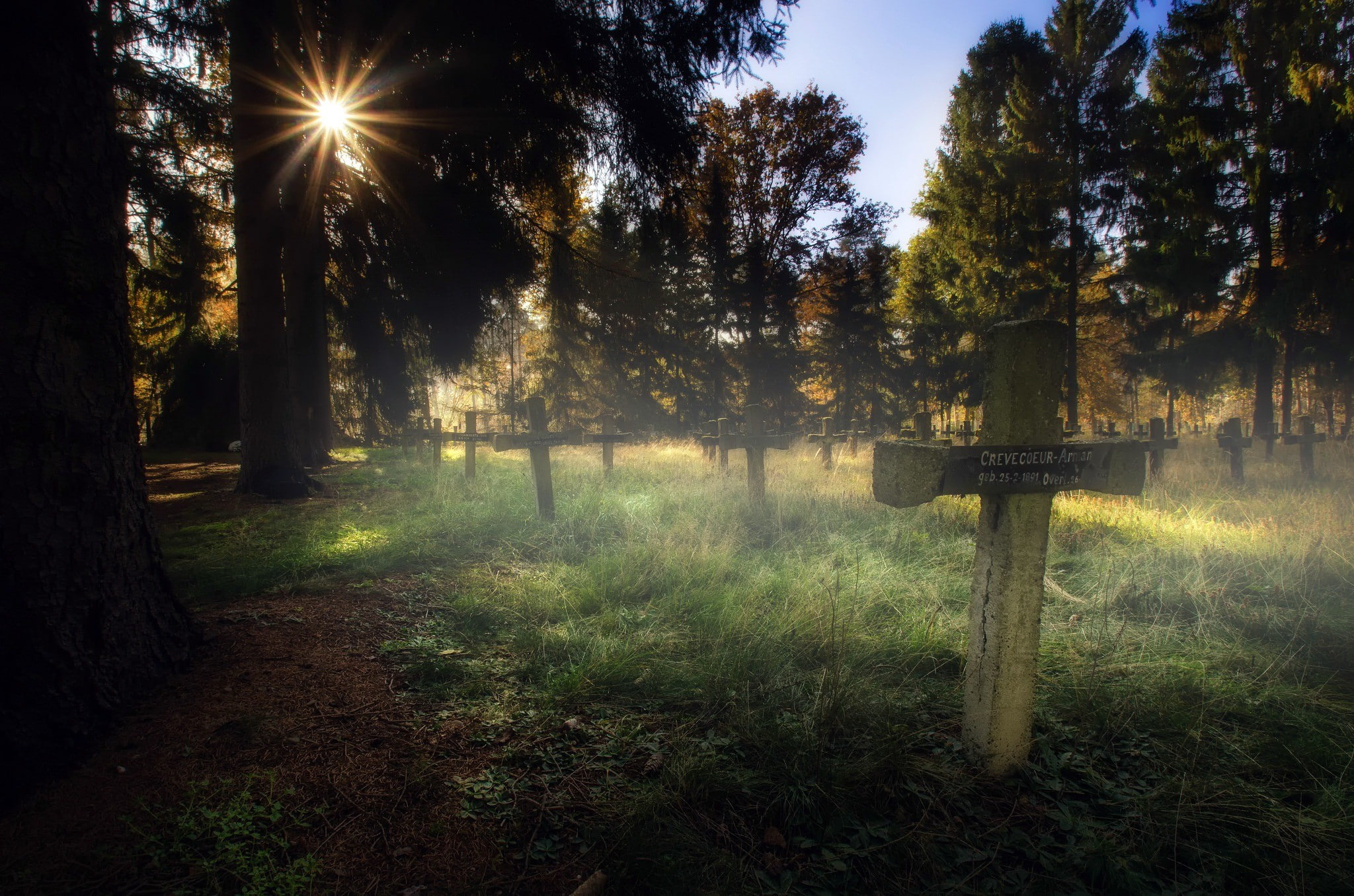 trees, graveyards, cross, plant, land, nature, forest, tranquility