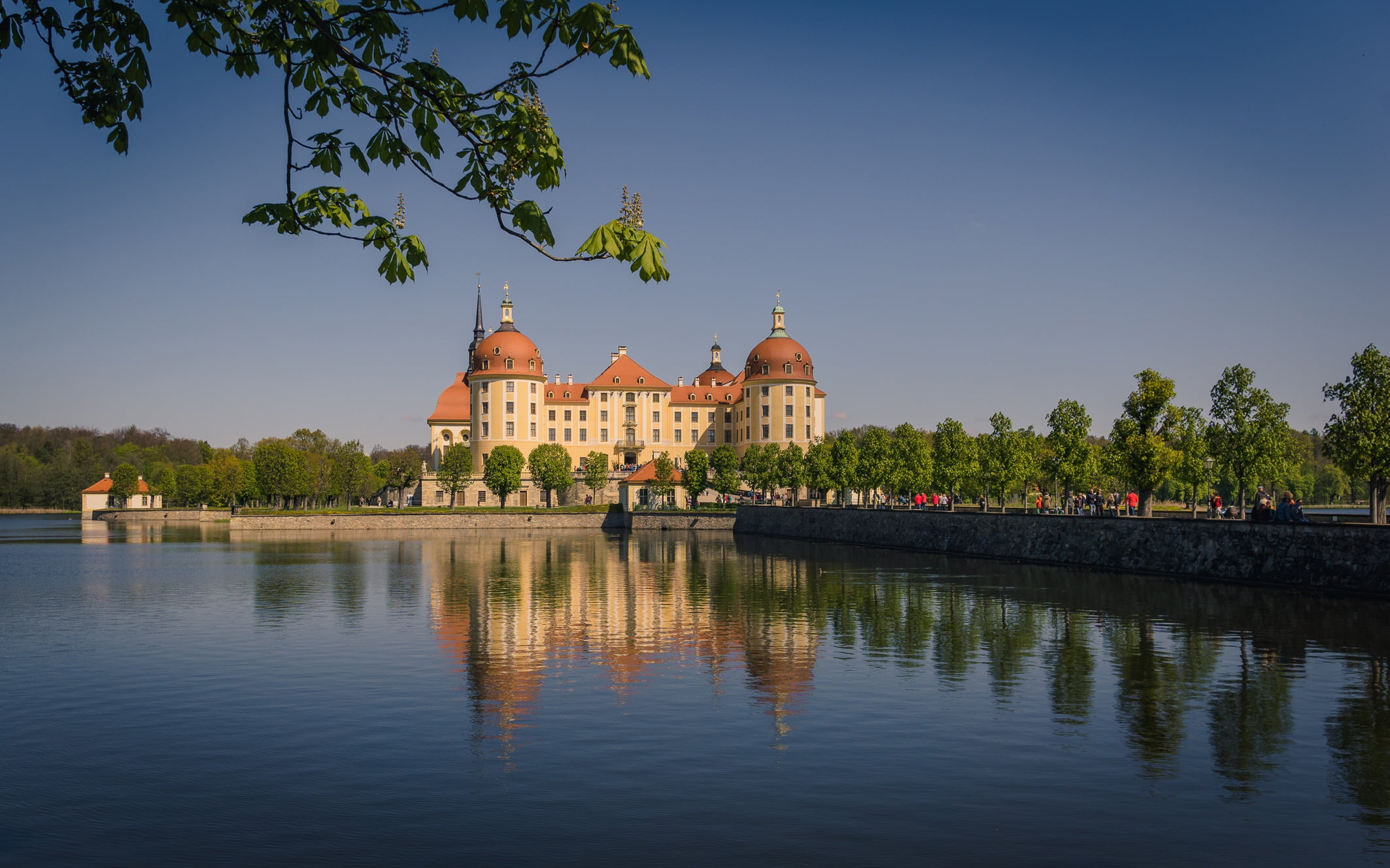 water, branches, reflection, castle, Germany, Saxony, Moritzburg