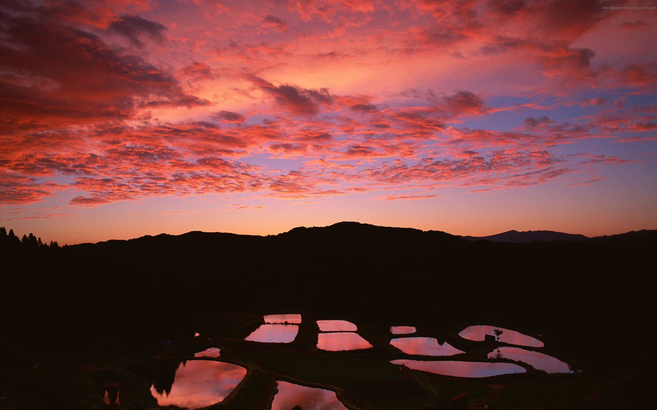 Puddle, Reflection, Sky