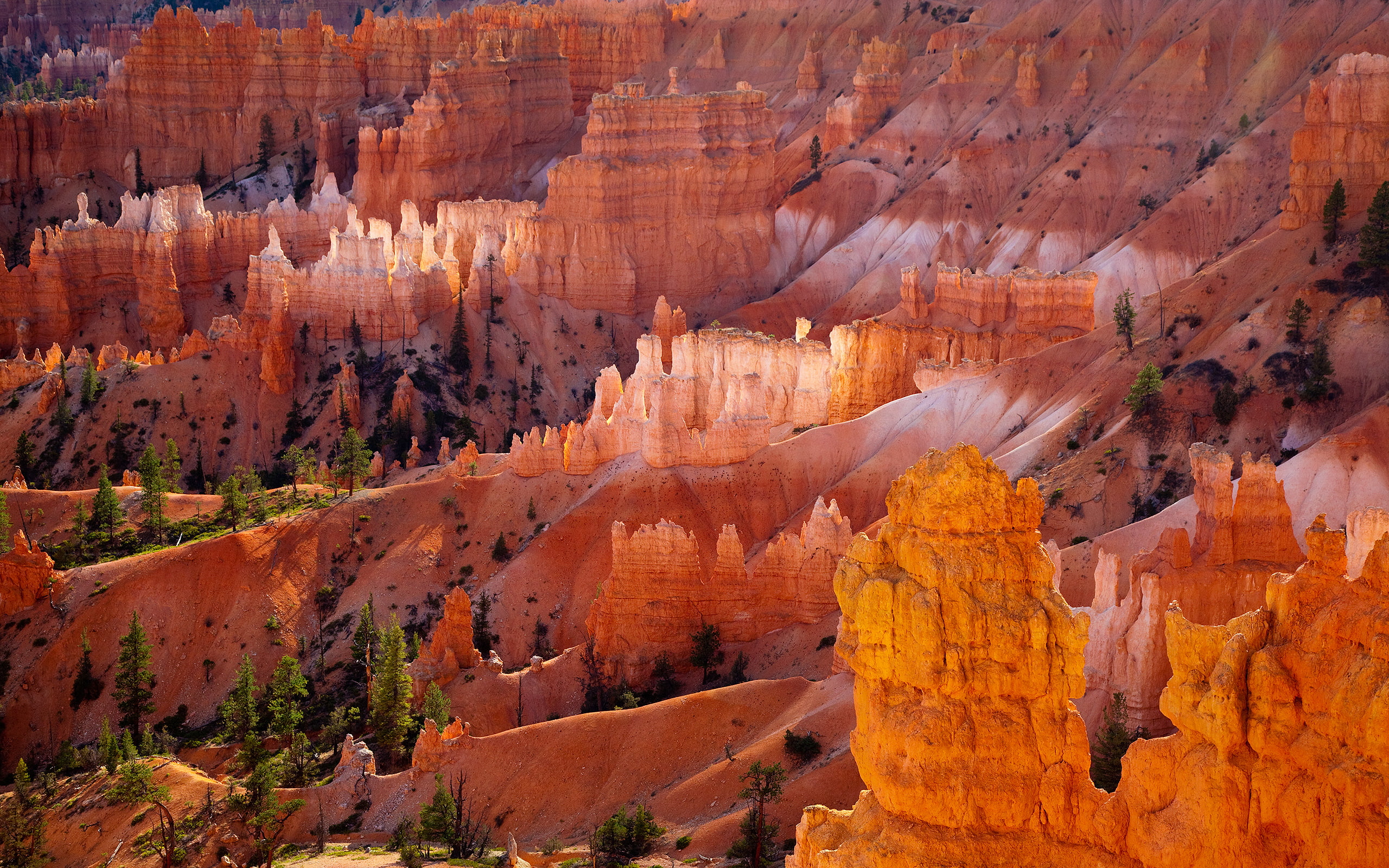 Unforgettable Bryce, brycecanyon, canon, canoneos5dmarkii, canyons