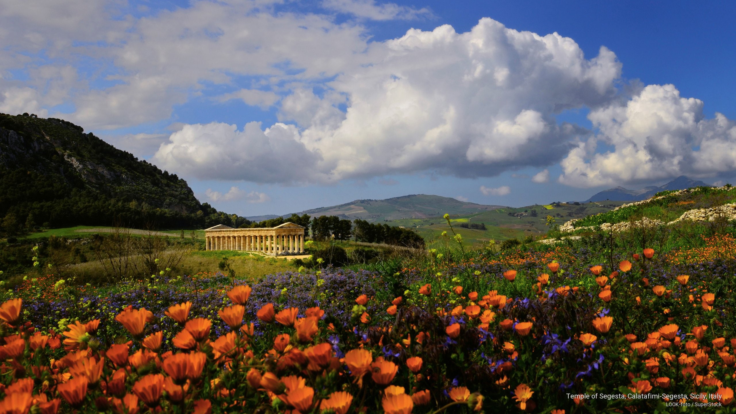 Temple of Segesta, Calatafimi-Segesta, Sicily, Italy, Spring/Summer