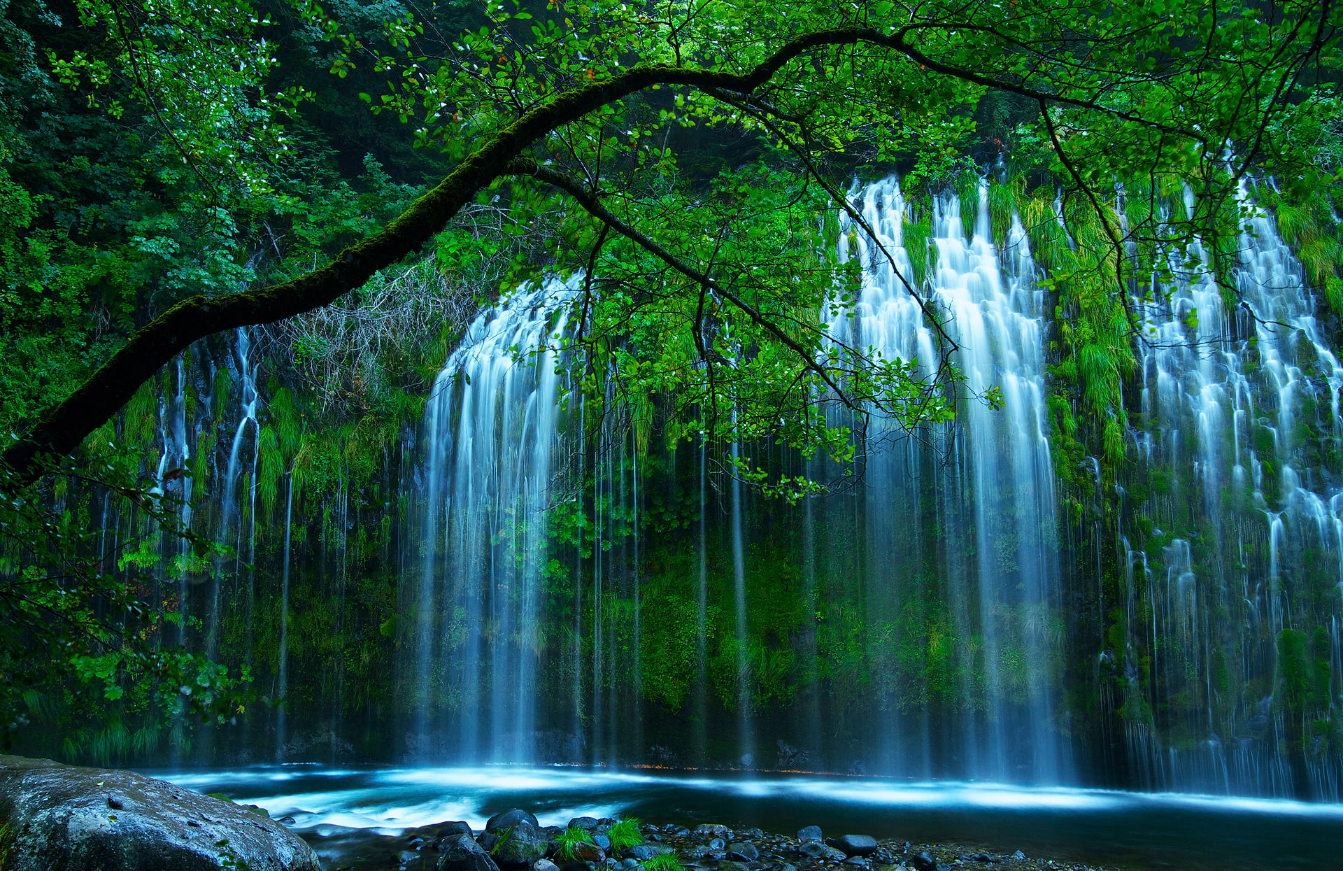 waterfalls near trees, greens, nature, USA, Shasta Retreat, Sacramento River