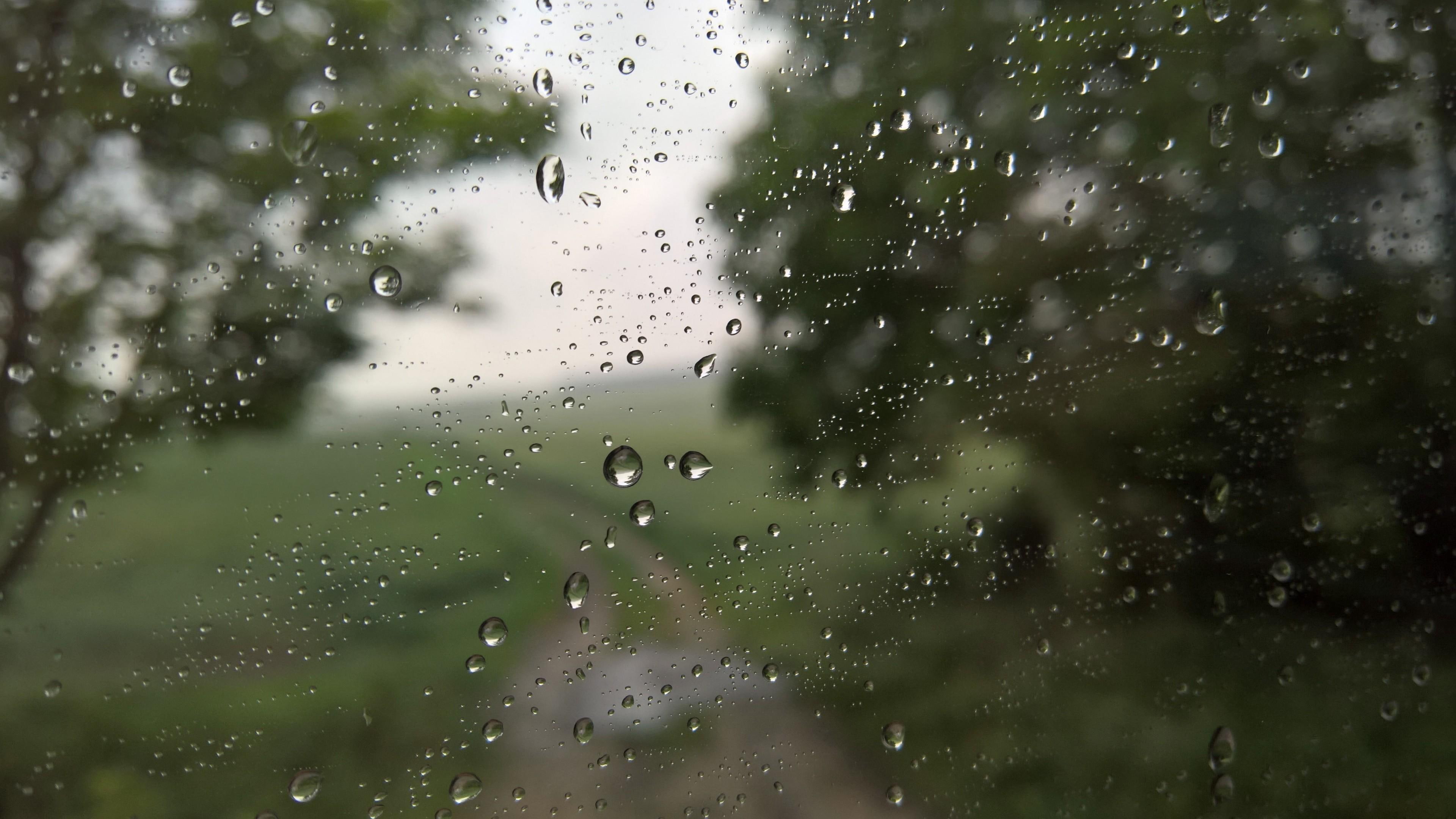 autumn, window, rain, rain drops, nature