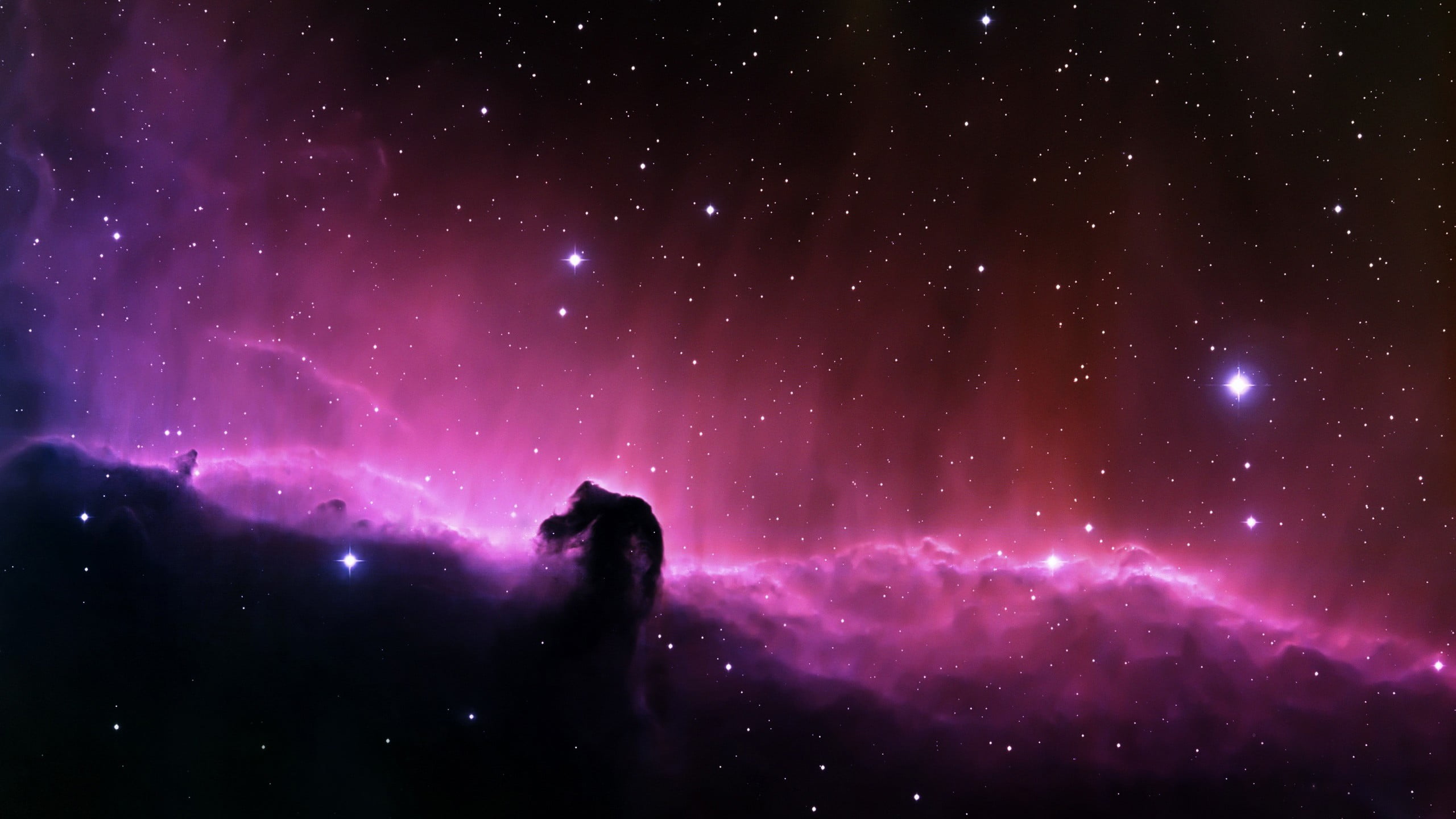 pink and black galaxy wallpaper, stars, space, Horsehead Nebula