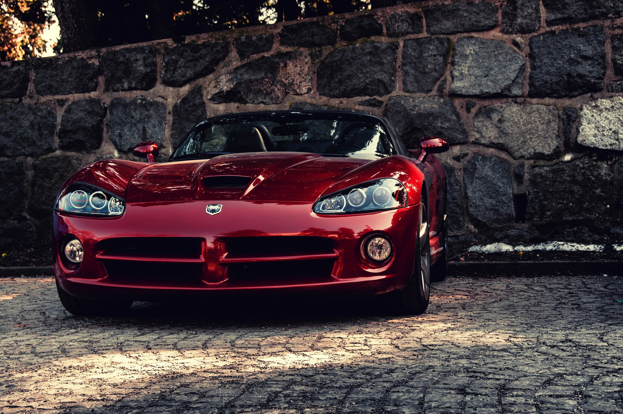 viper