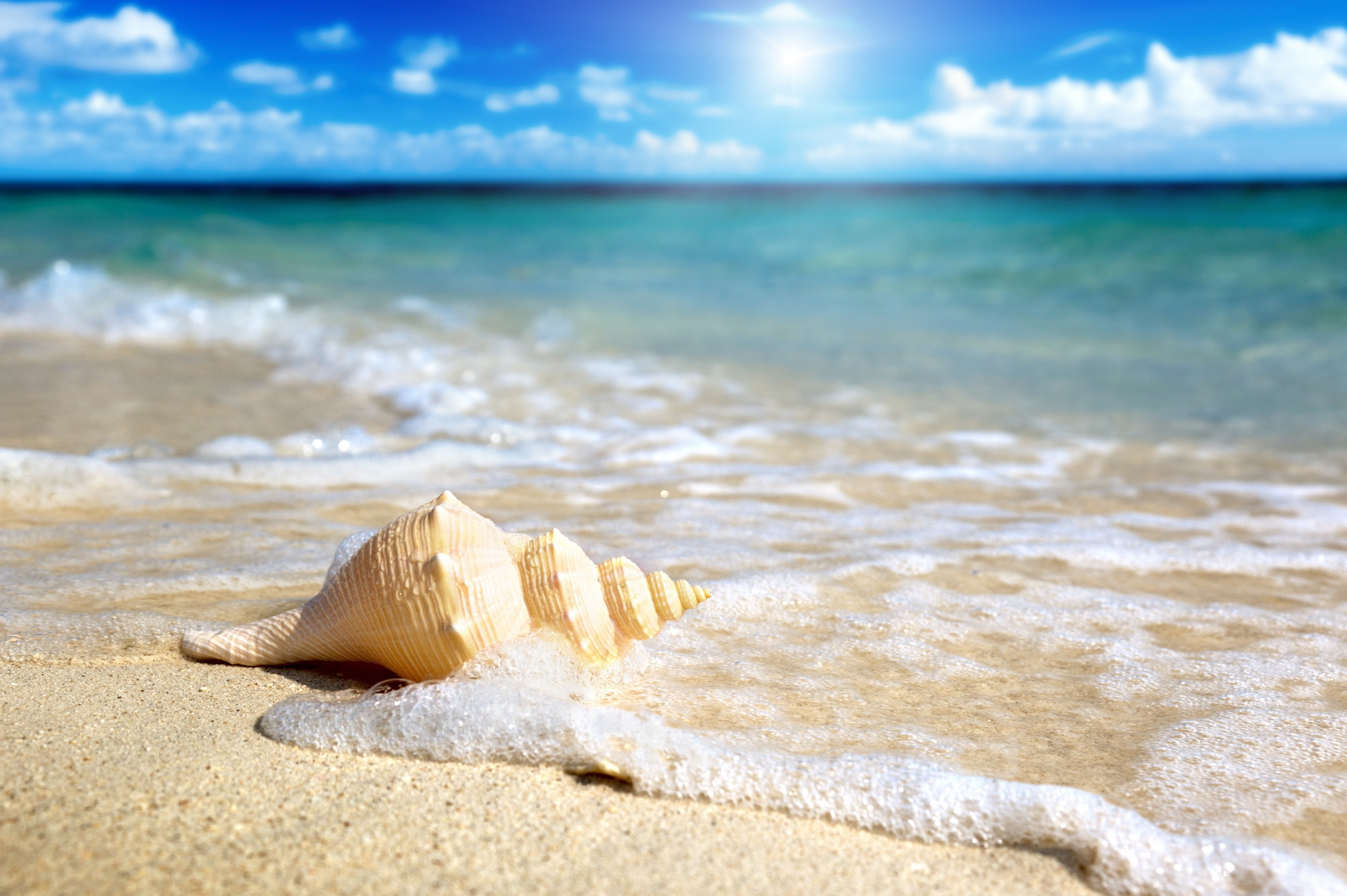 Earth, Shell