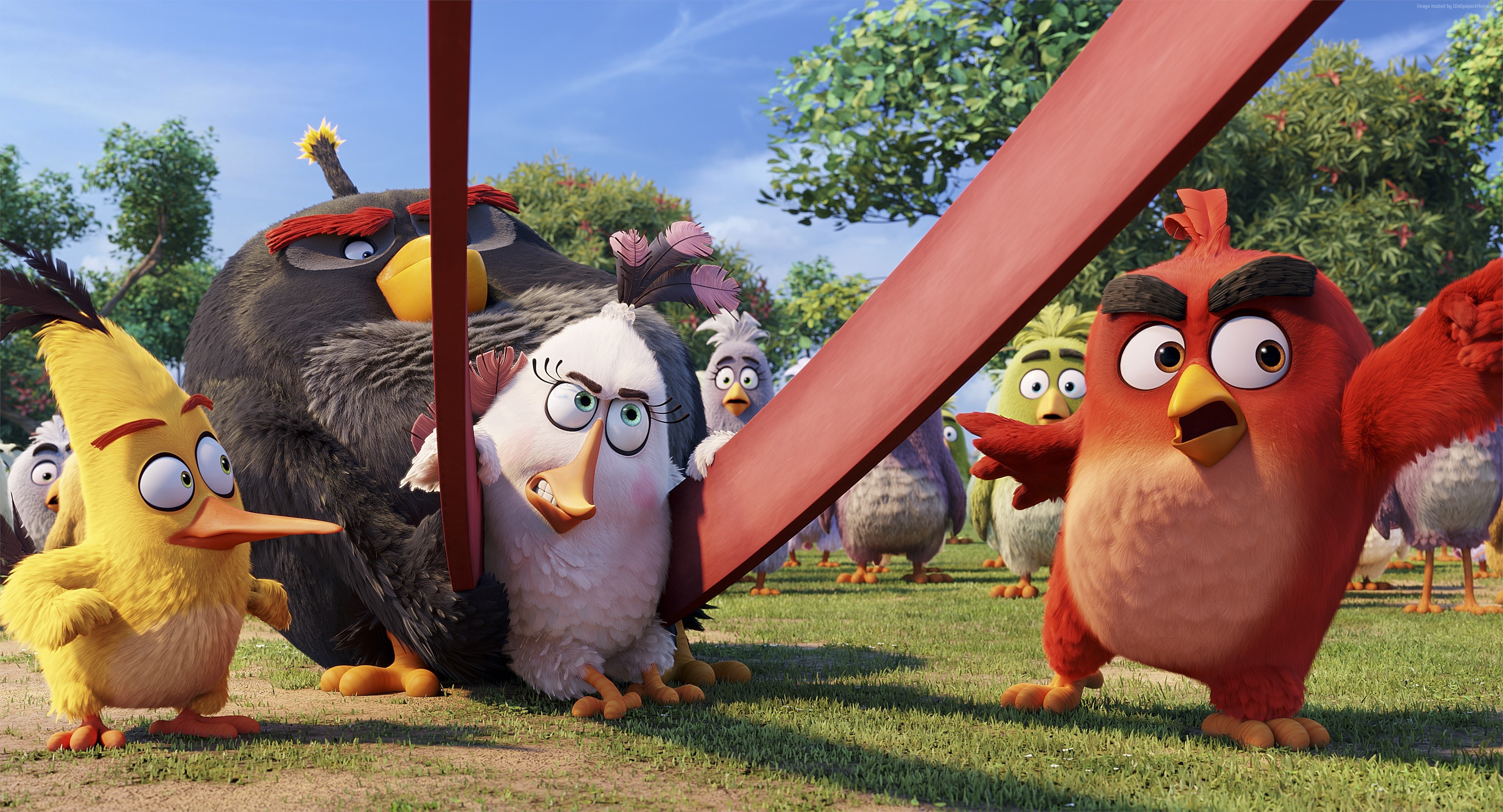 red, chuck, bomb, Best Animation Movies of 2016, Angry Birds Movie