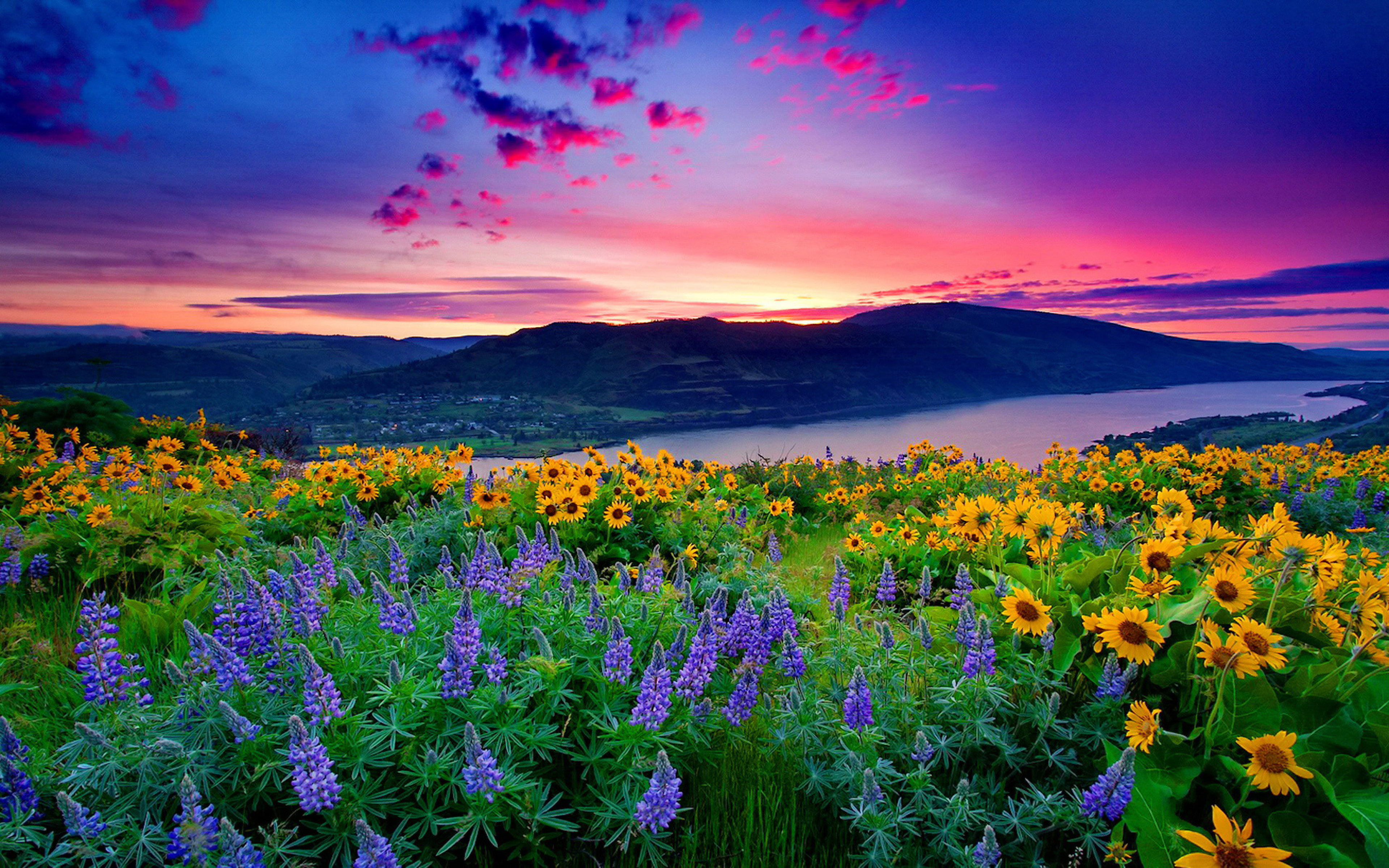 Nature Landscape Yellow Flowers And Blue Mountain Lake Hills Red Cloud Sunset Hd Desktop Wallpaper 3840×2400