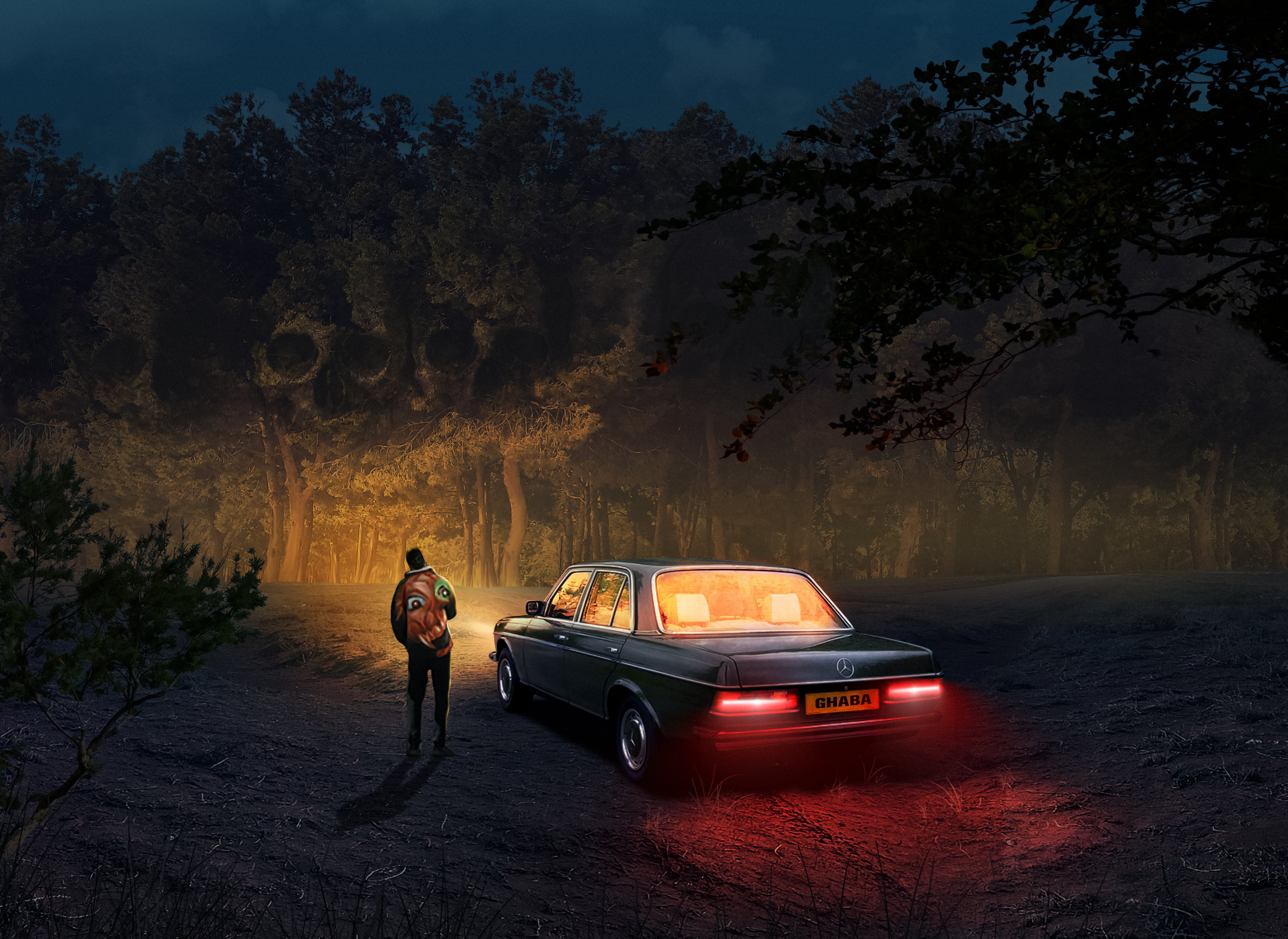 wood, Dream (character), car, night, forest