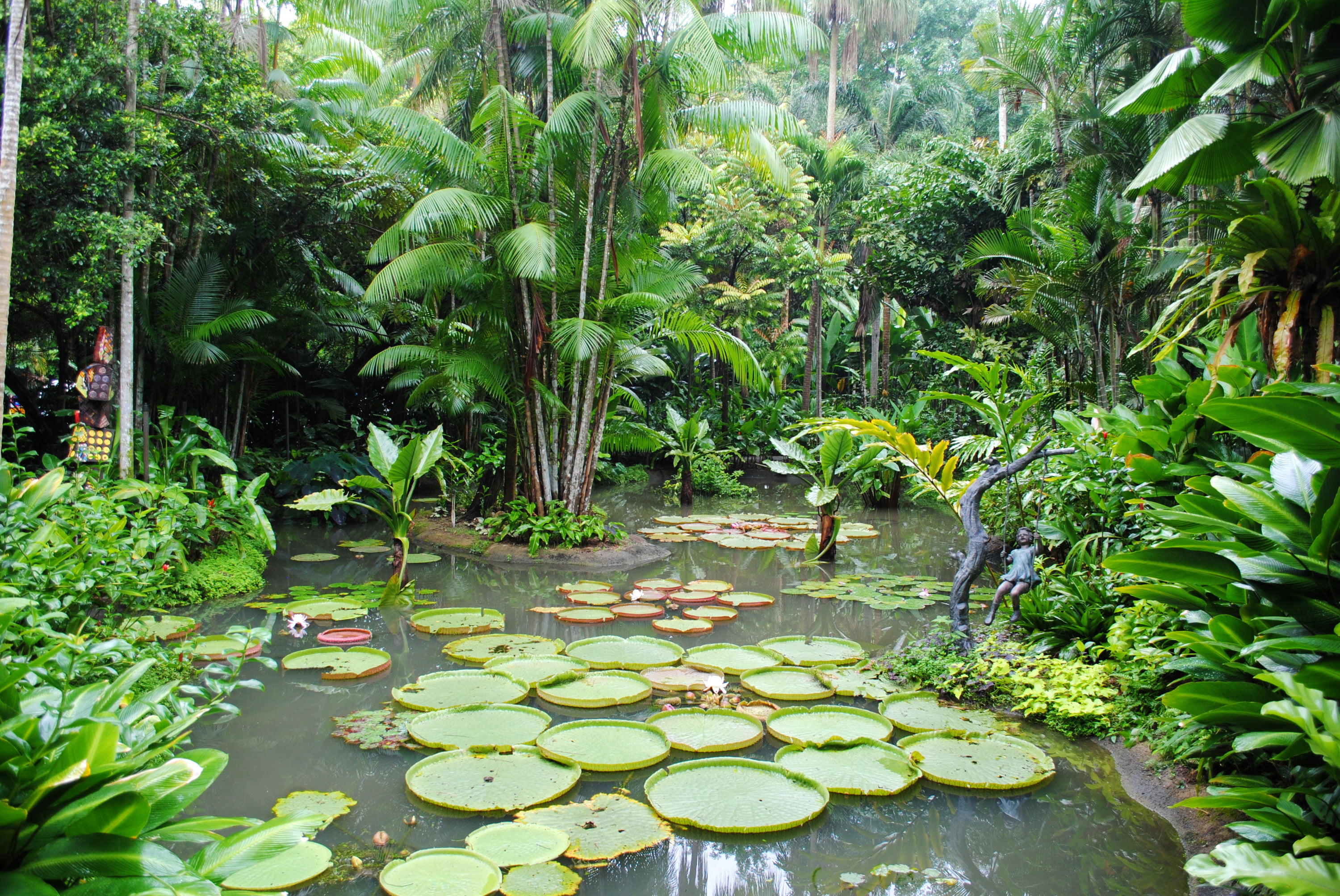 green lily pad, trees, pond, garden, Singapore, the bushes, water lilies