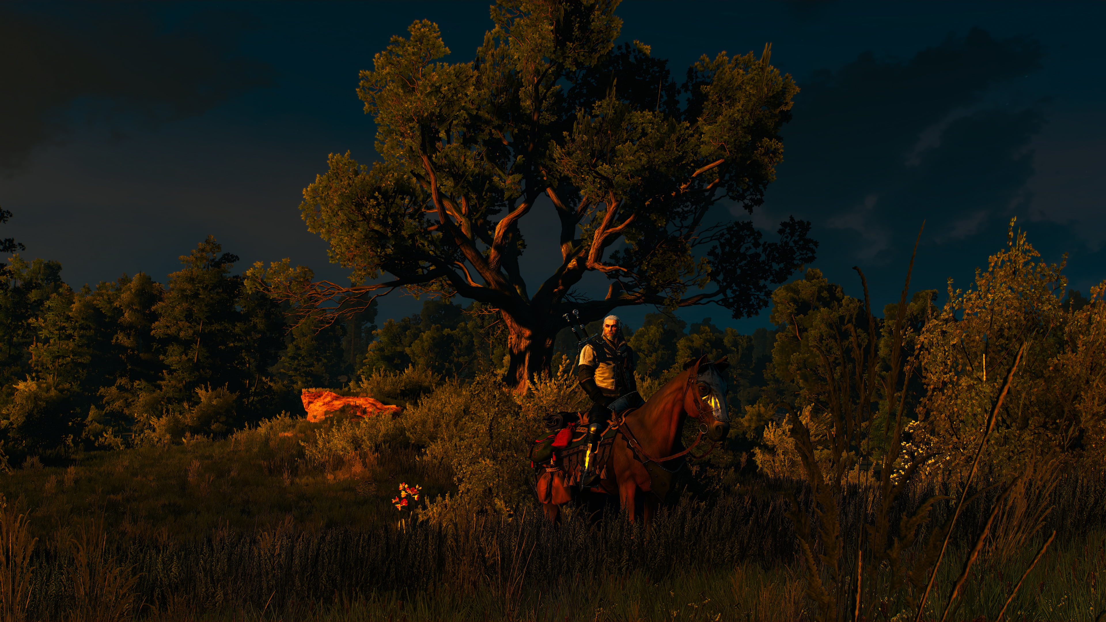 The Witcher 3: Wild Hunt, Geralt of Rivia, Ard Skellige, Velen