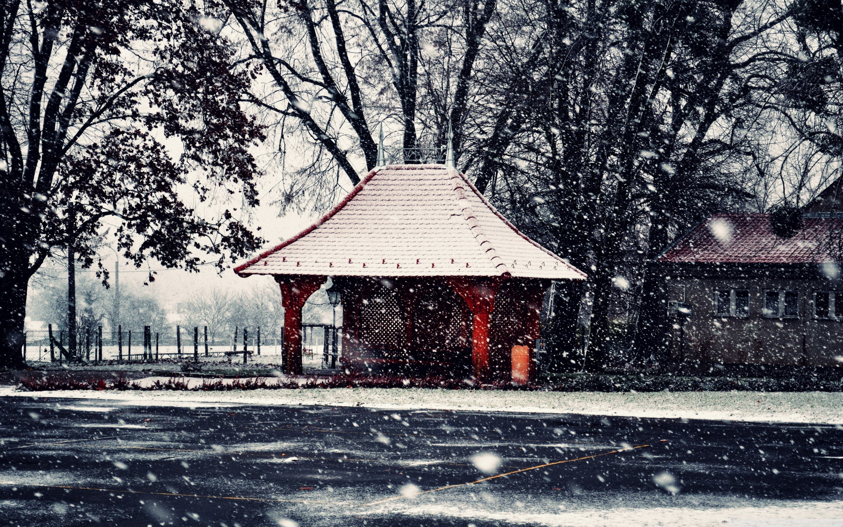 winter, snow, tree, cold temperature, plant, architecture, built structure