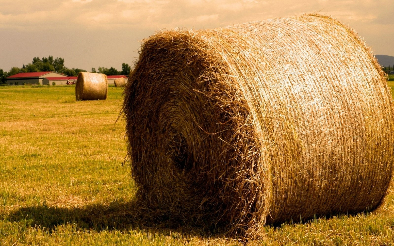 Earth, Haystack