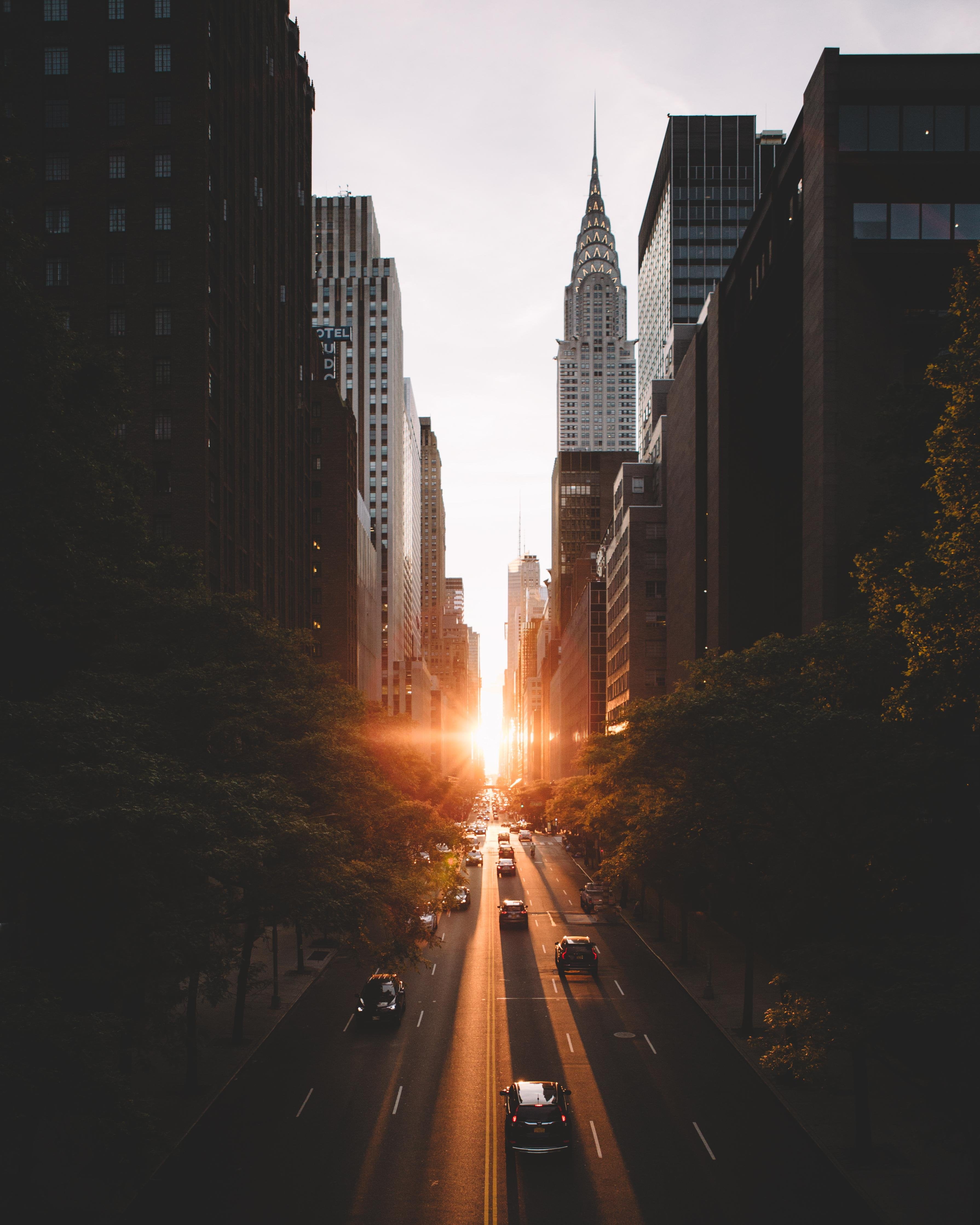city buildings, cityscape, sunrise, New York City, Chrysler Building