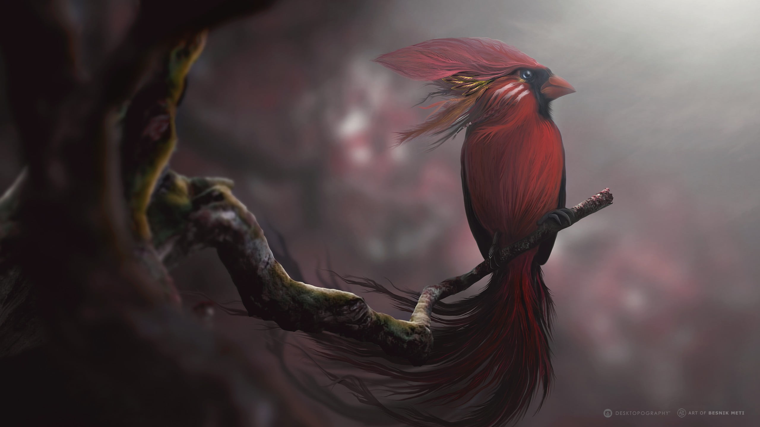 red and black bird painting, birds, digital art, vertebrate, animal themes