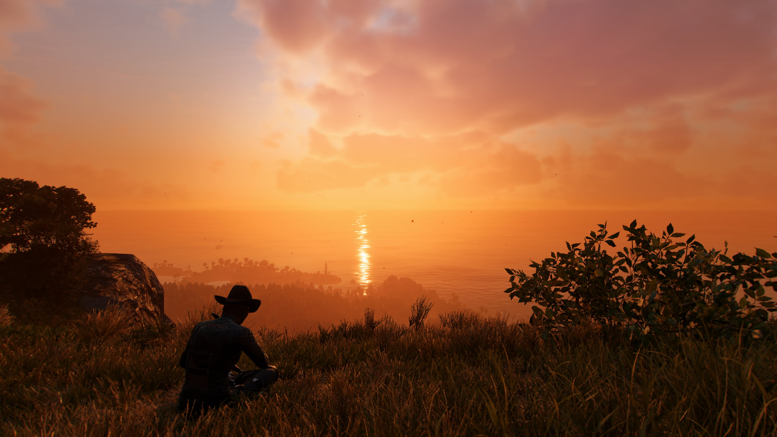 screen shot, Far Cry 6, Vista