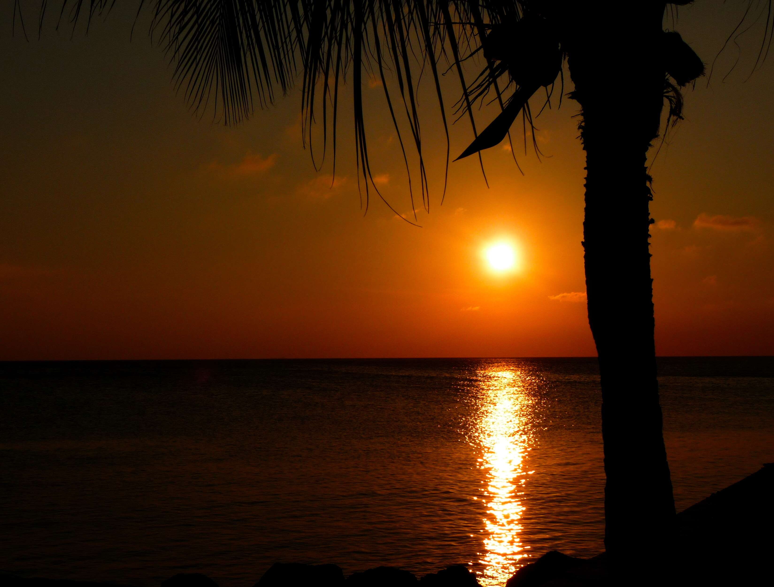 caribbean, dawn, dusk, hd, holiday, ocean, palm, salt water