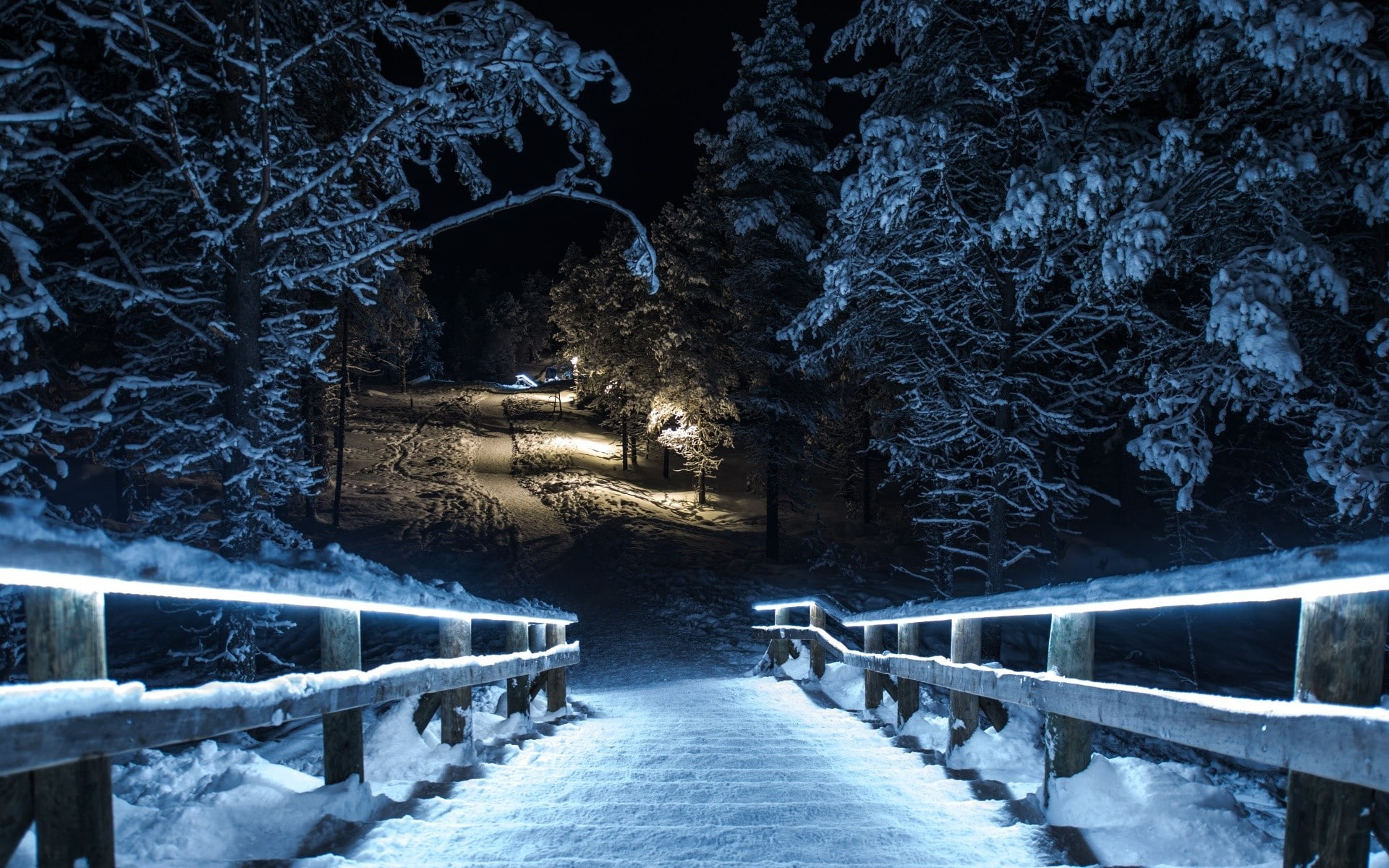winter, stairs, night, cold temperature, snow, tree, railing