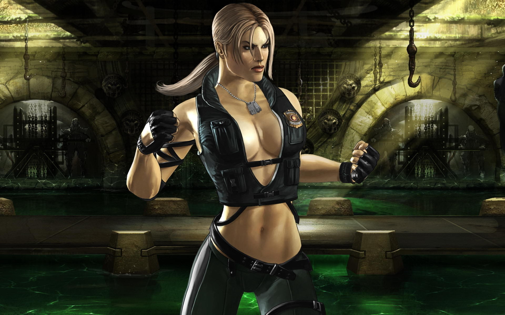woman wearing black vest illustration, Mortal Kombat, video games