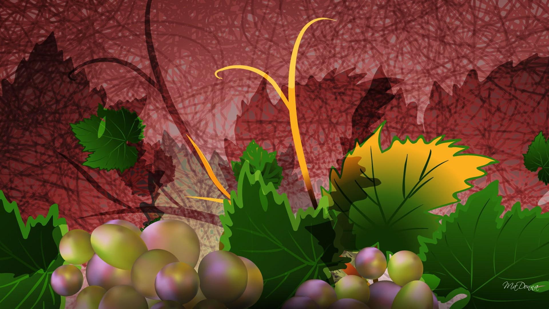 Grape Harvest, winery, fall, leaves, dark, grapes, vineyard, vines