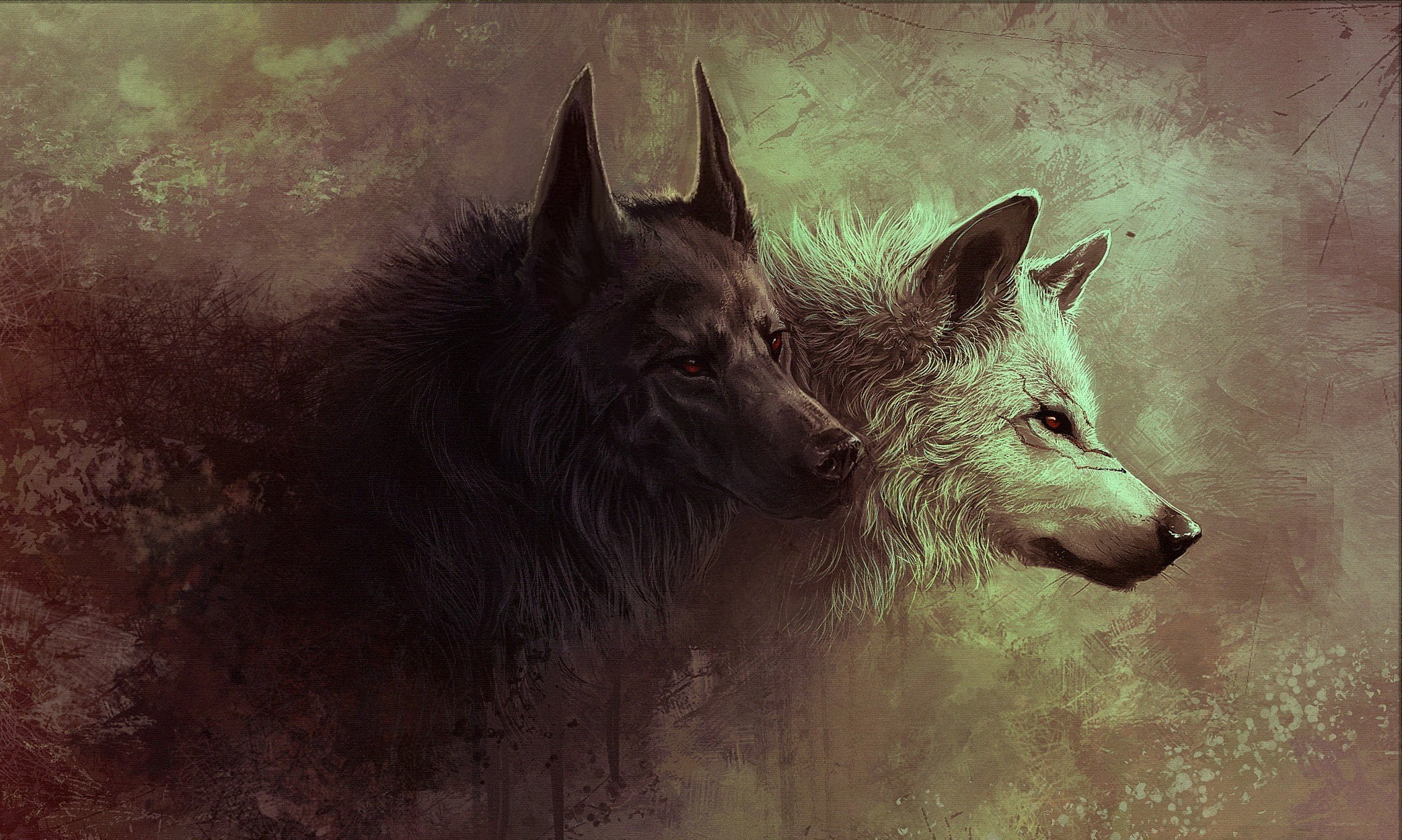 black, animals, white, fantasy art, wolf