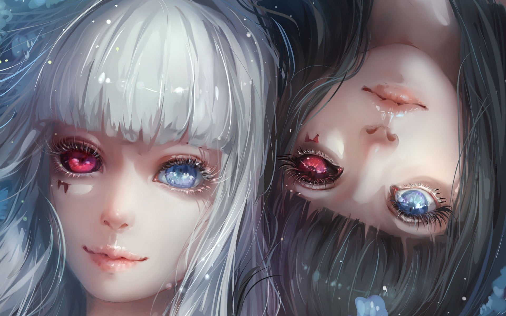 two female anime characters with black and white hairs wallpaper