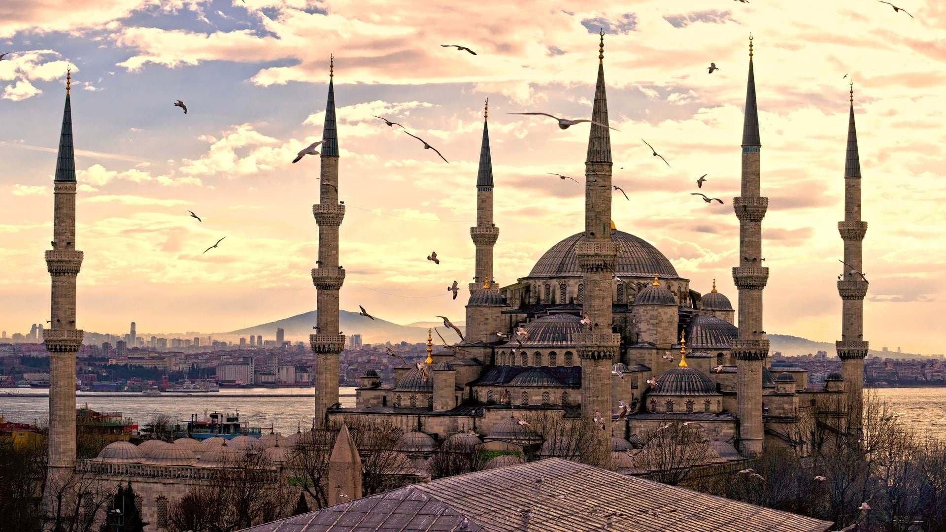 cityscapes birds buildings town turkey monument istanbul skyscapes sultan ahmet 1920x1080 wallpap Animals Birds HD Art