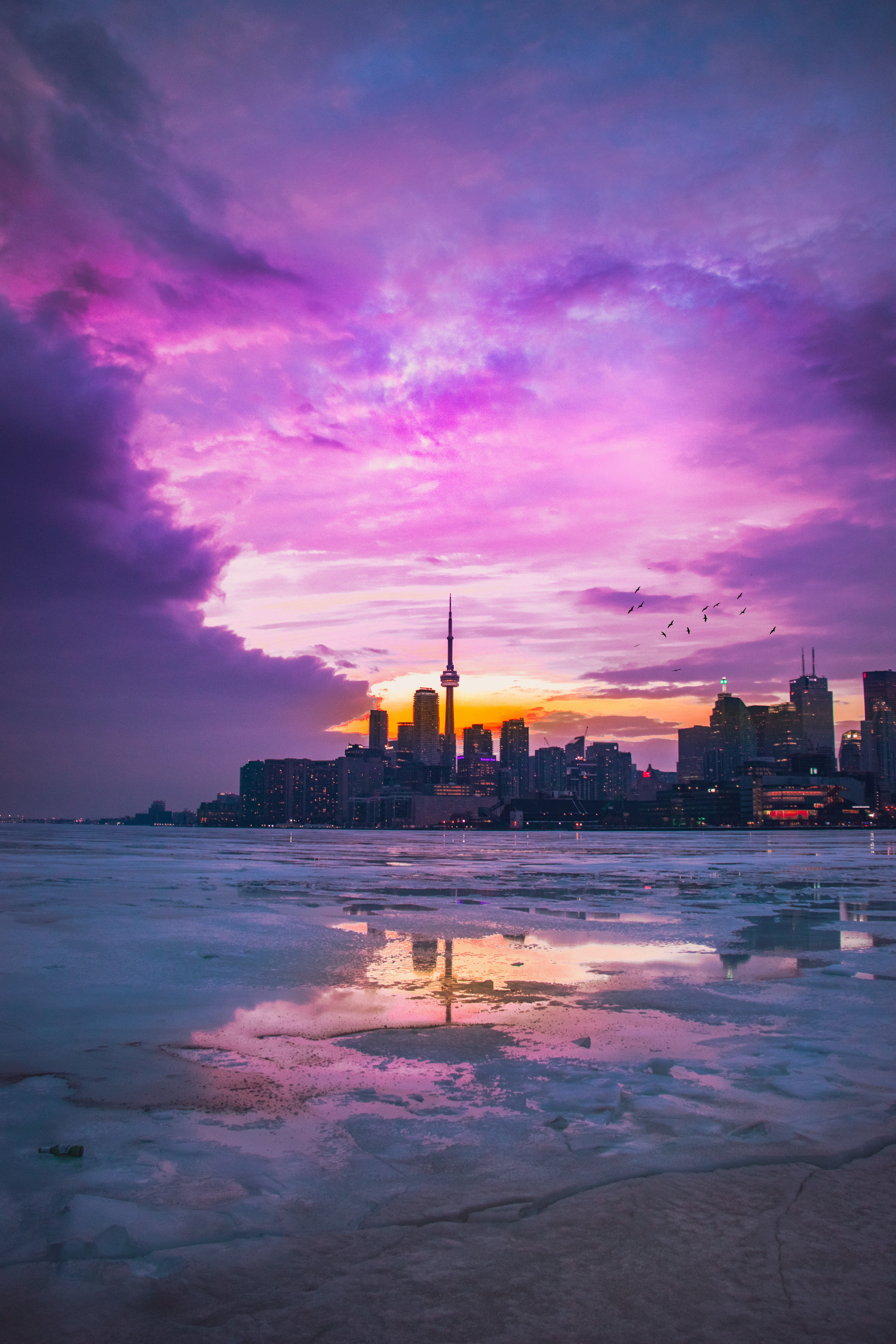 city, nature, sunset, Toronto, vertical