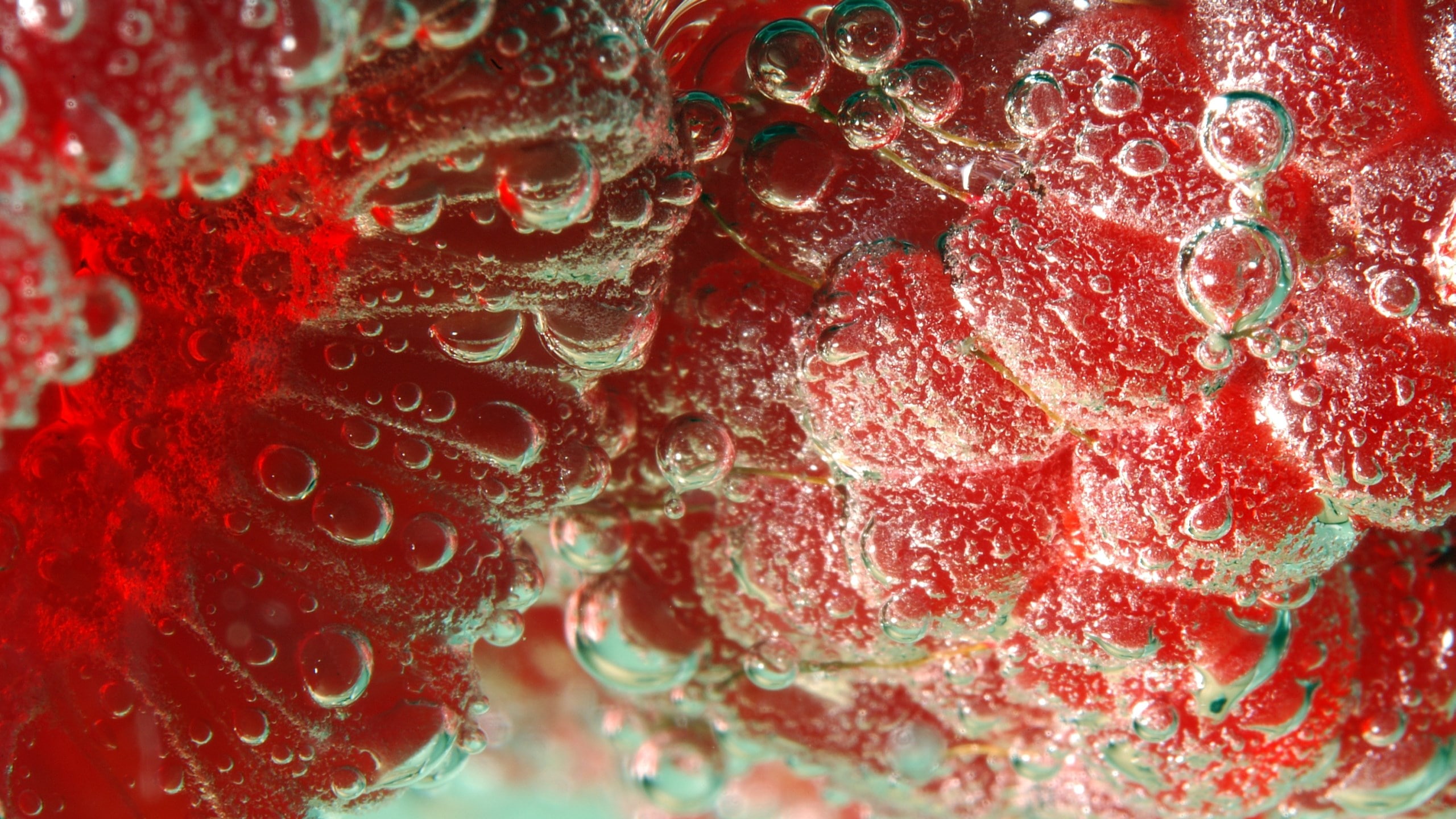 raspberry