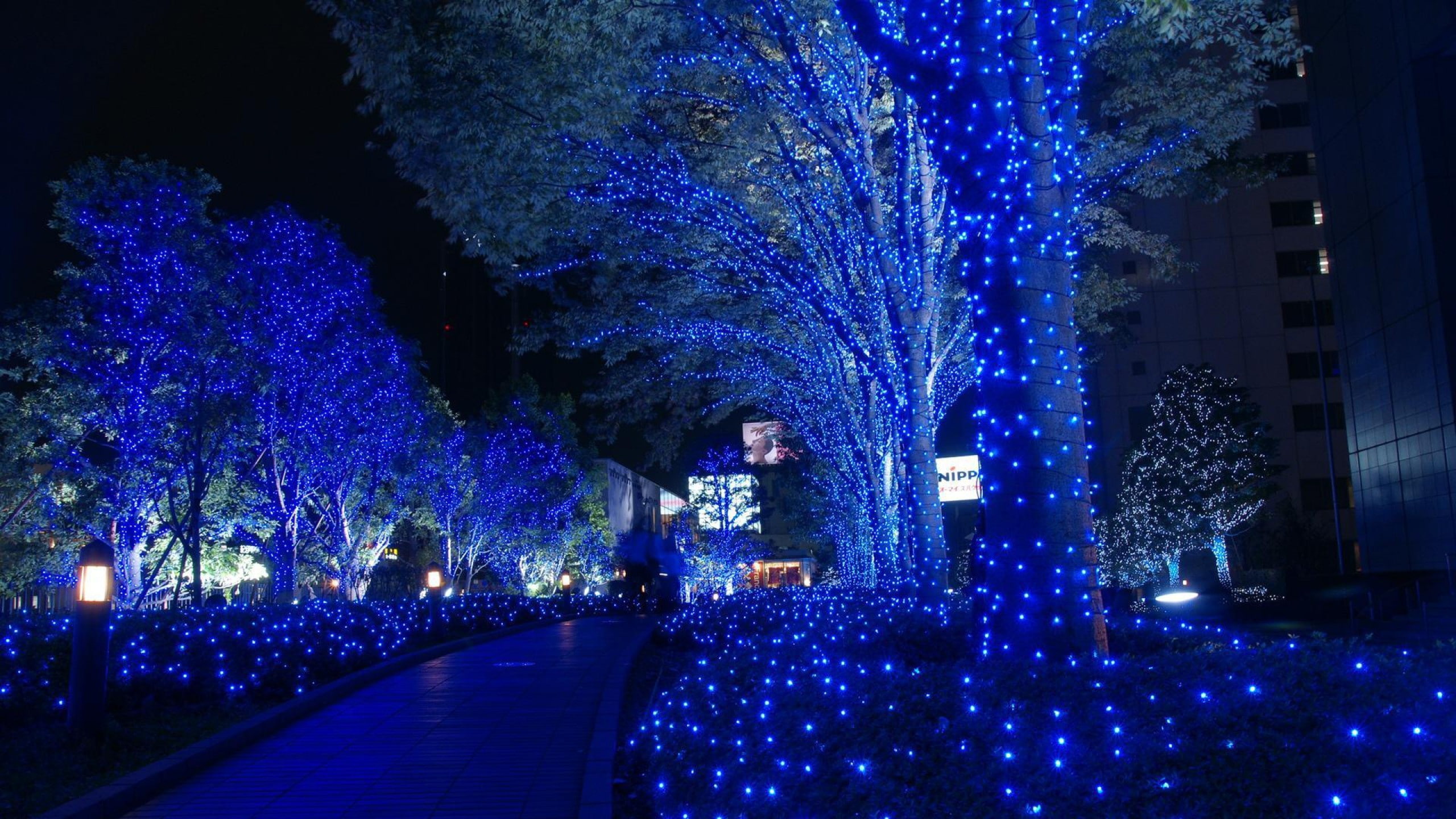 azules, ciudad, luces, navidad