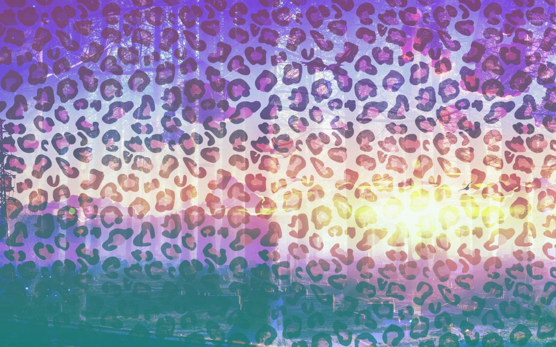 colourfull leopard, full frame, backgrounds, multi colored
