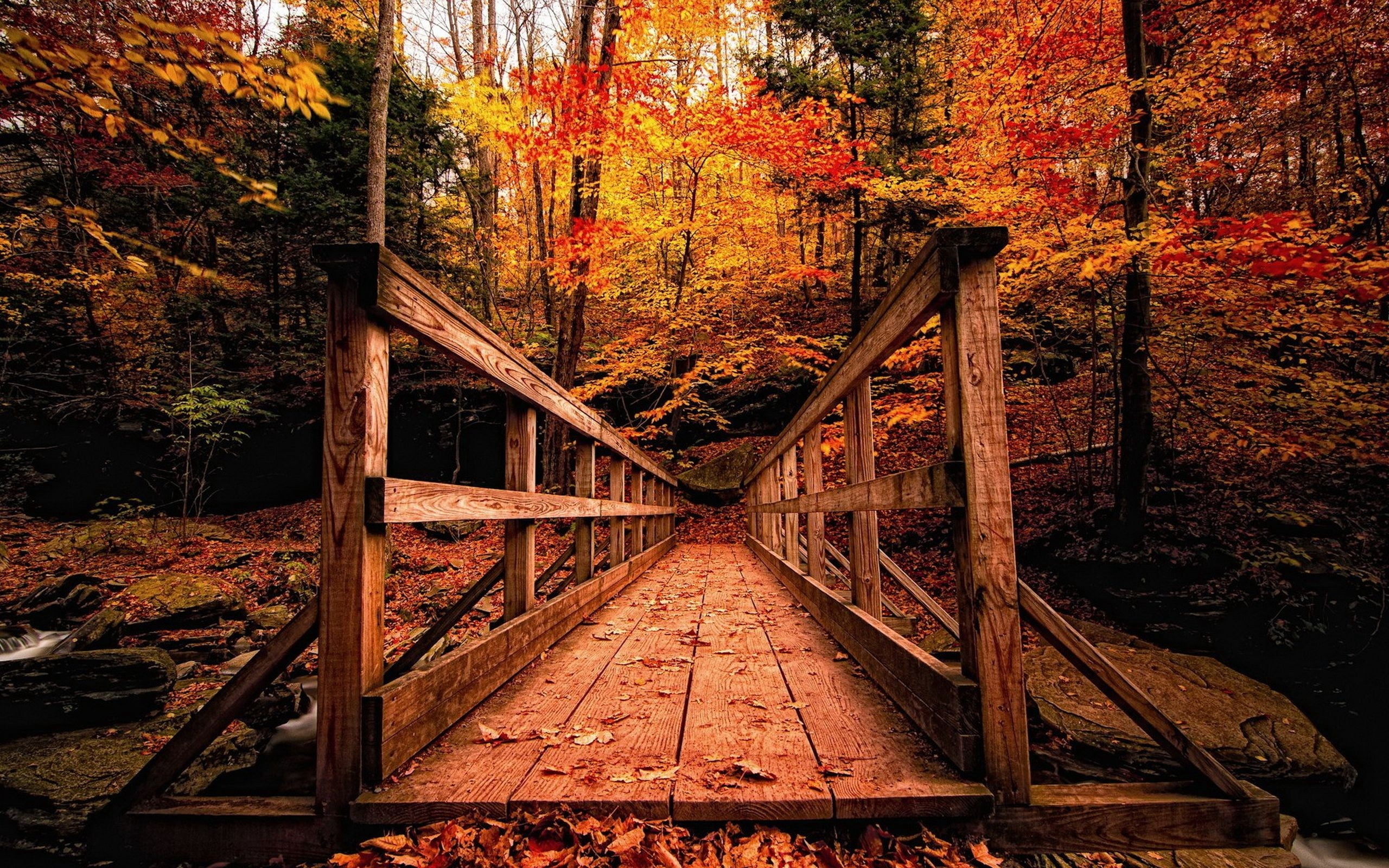brown wooden bridge, wooden structure, forest, autumn, nature