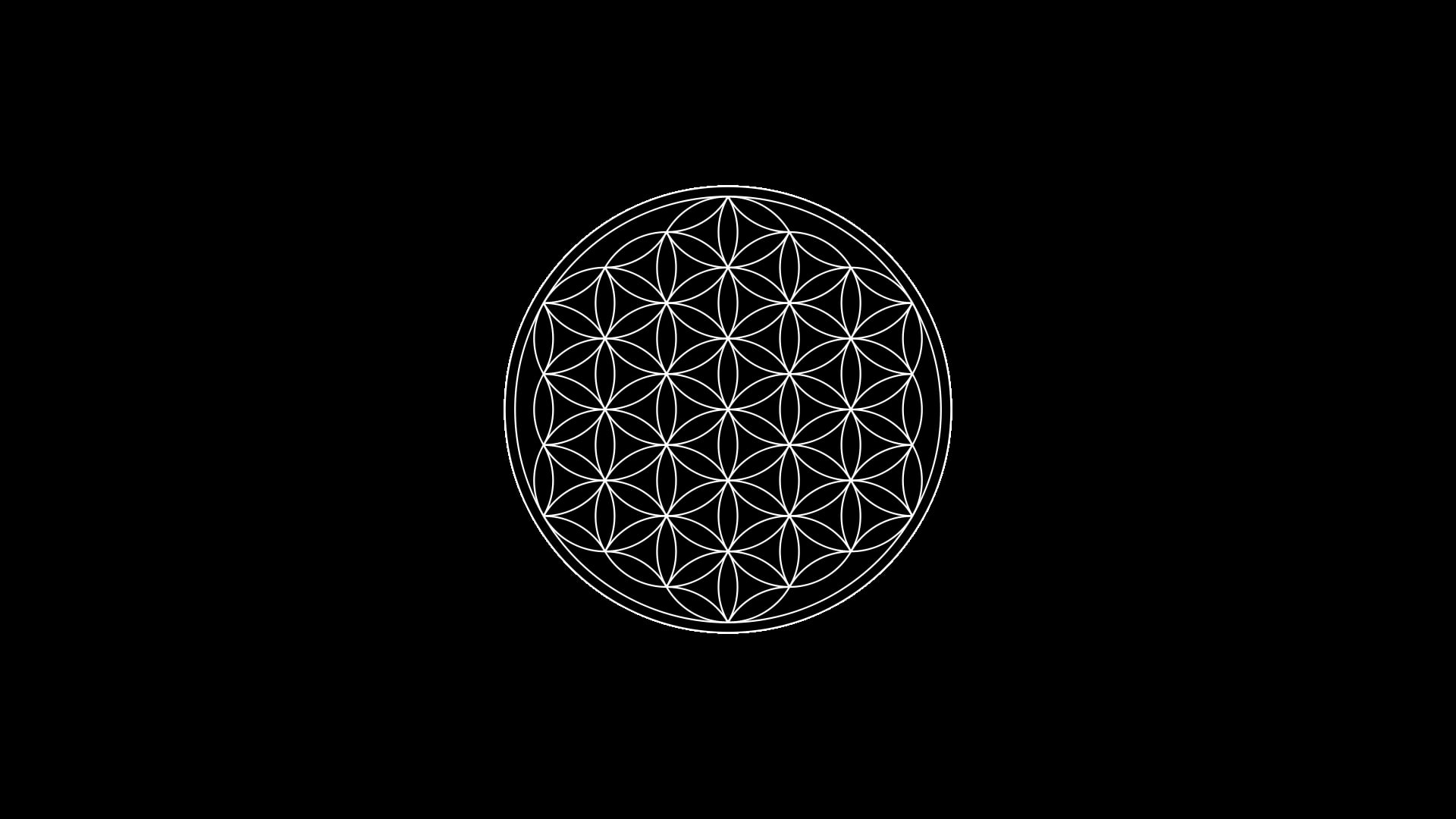 black background, circle, Flower Of Life, minimalism, Sacred Geometry