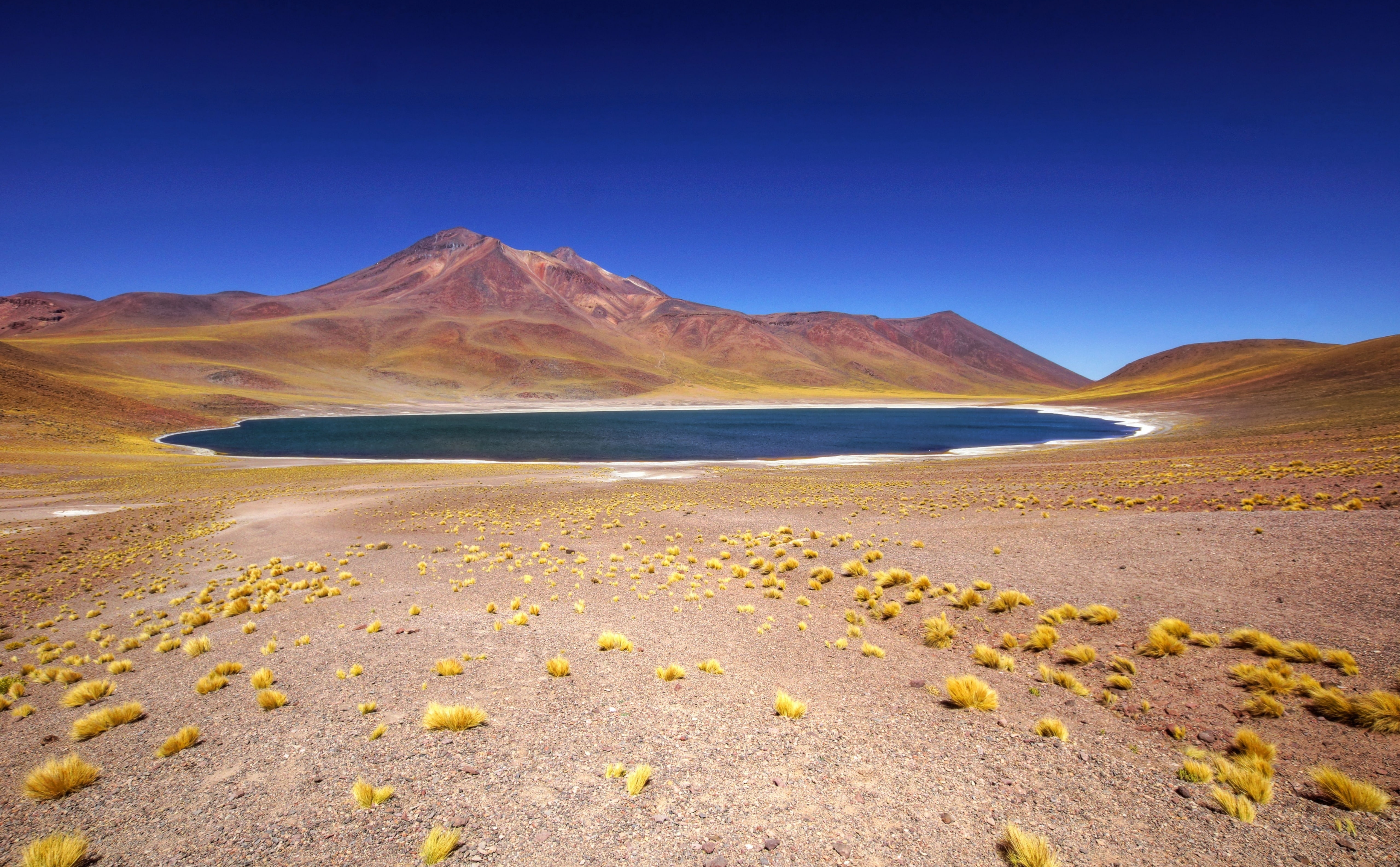 High Altitude Lake Chile, oasis during daytime, Nature, Desert