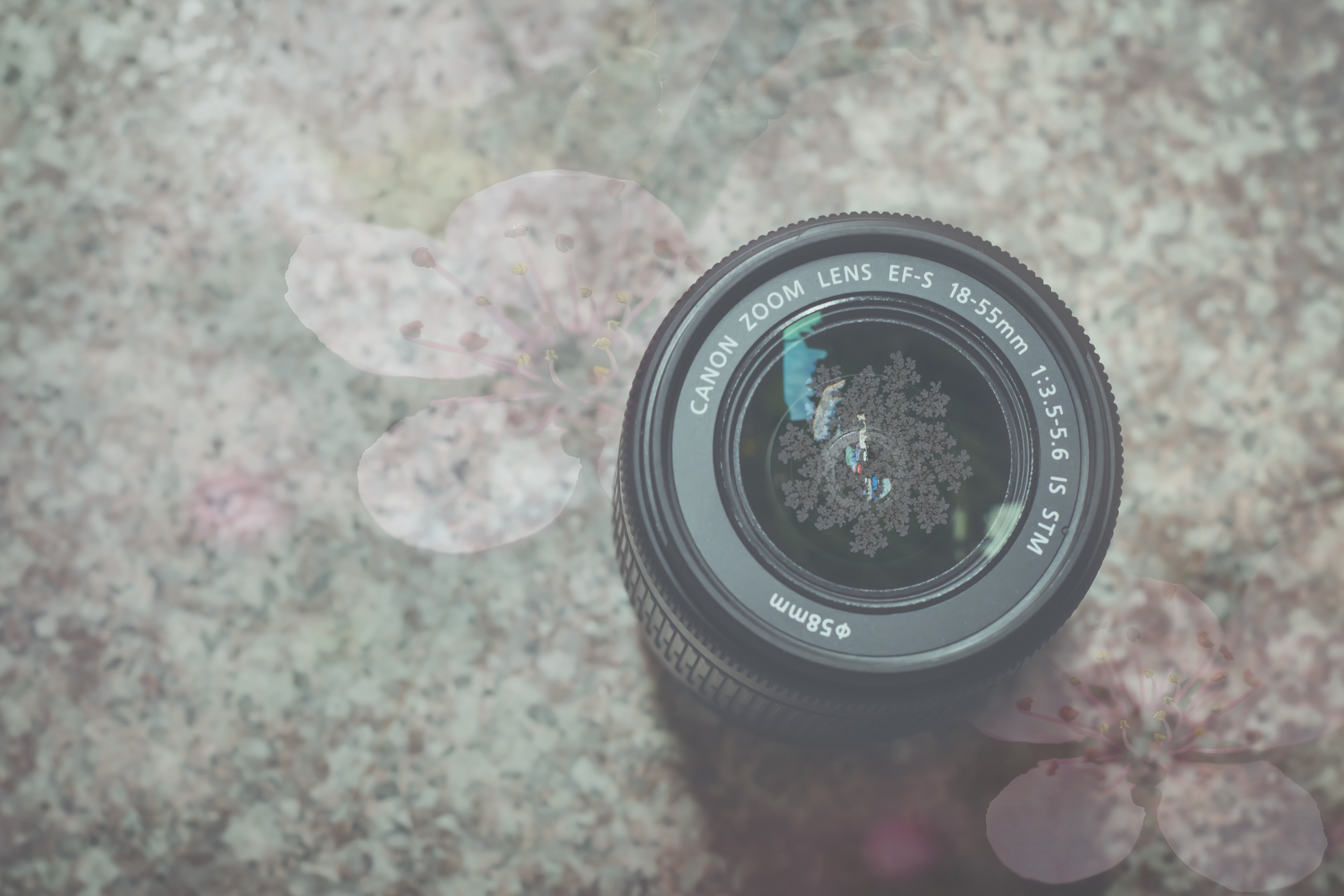 camera, electronic, photography, technics, technology