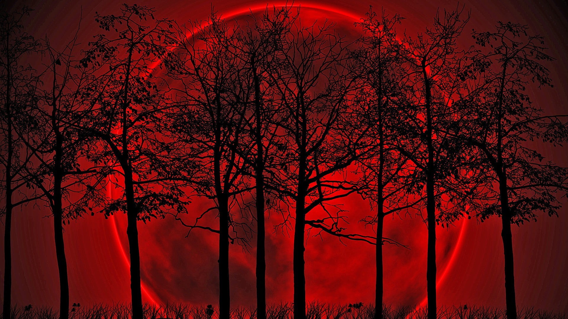 red moon illustration, Blood moon, tree, beauty in nature, plant