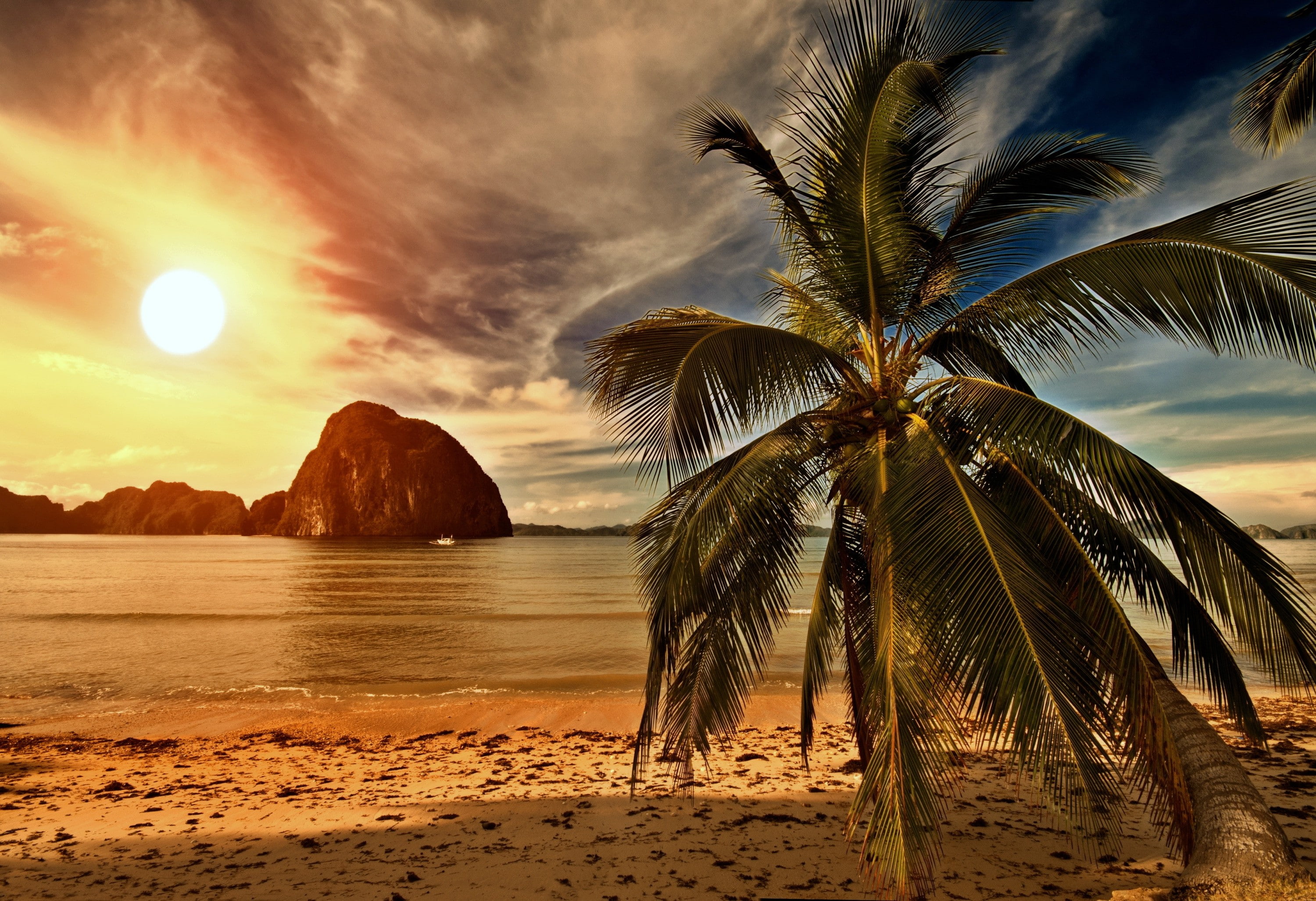 Tropical paradise,palm on beach, palms, Sea, Ocean, Sunset, hd backgrounds