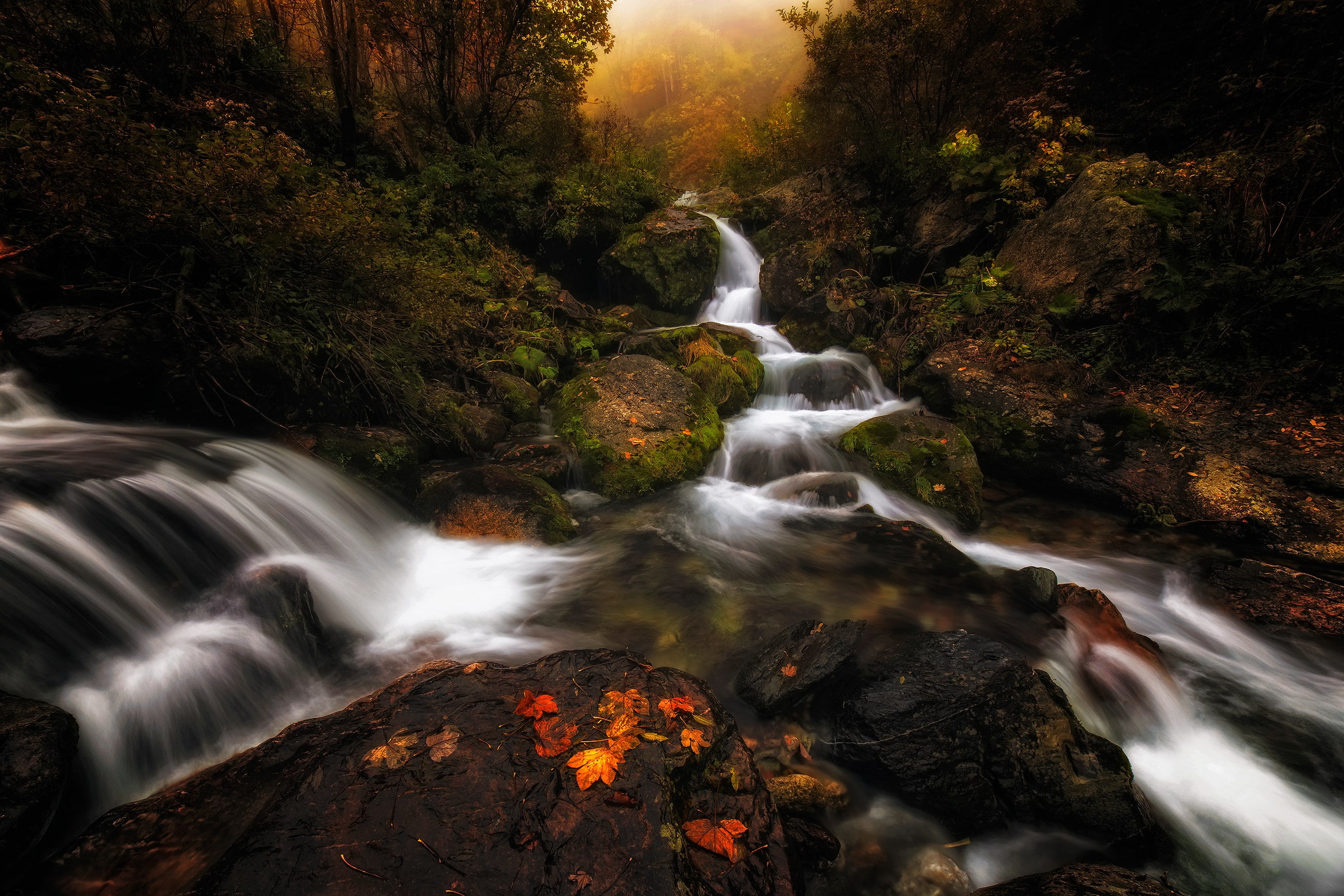 stream