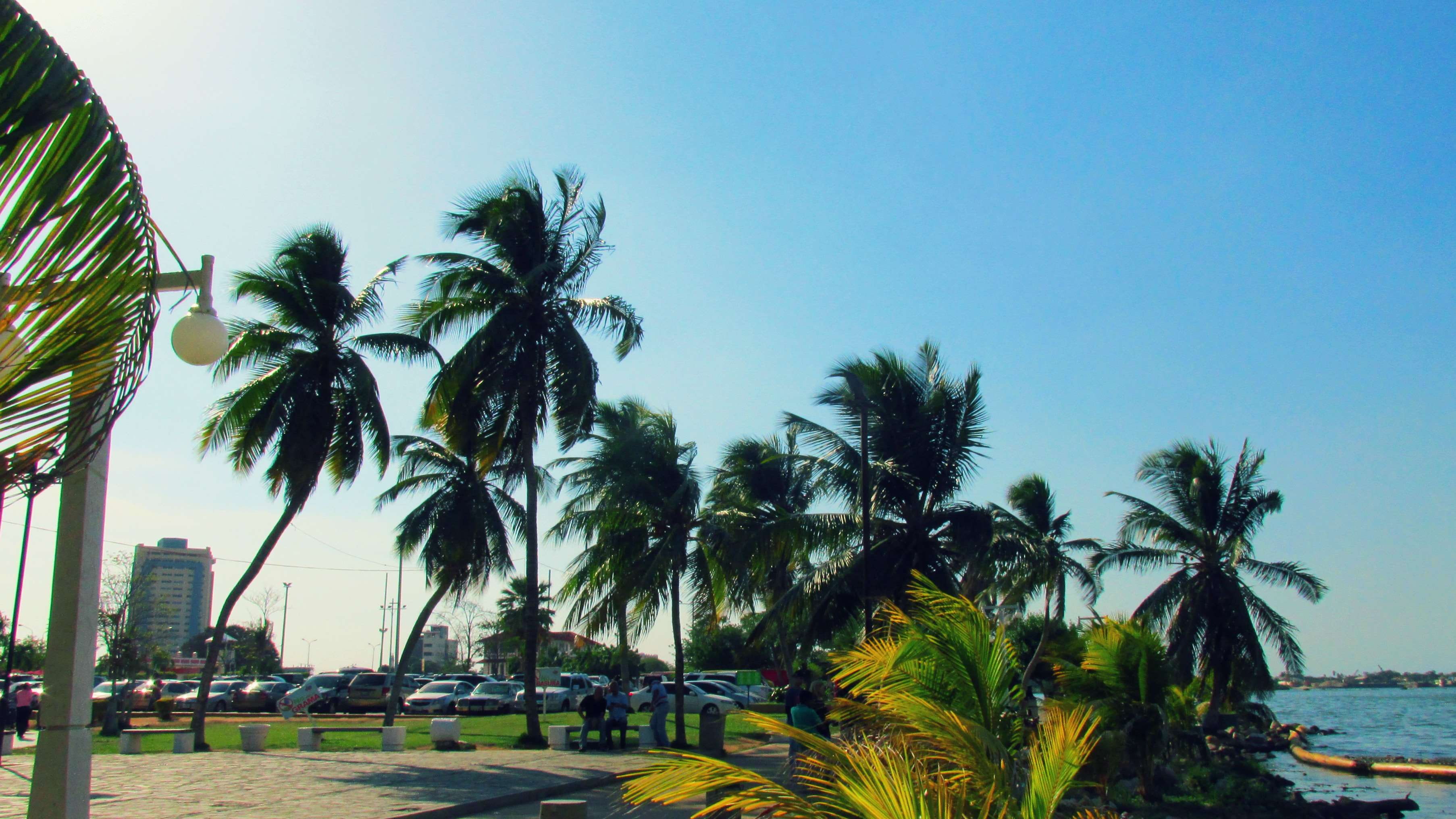 beach, city park, lake, maracaibo, palm tree, sunny, sunny day